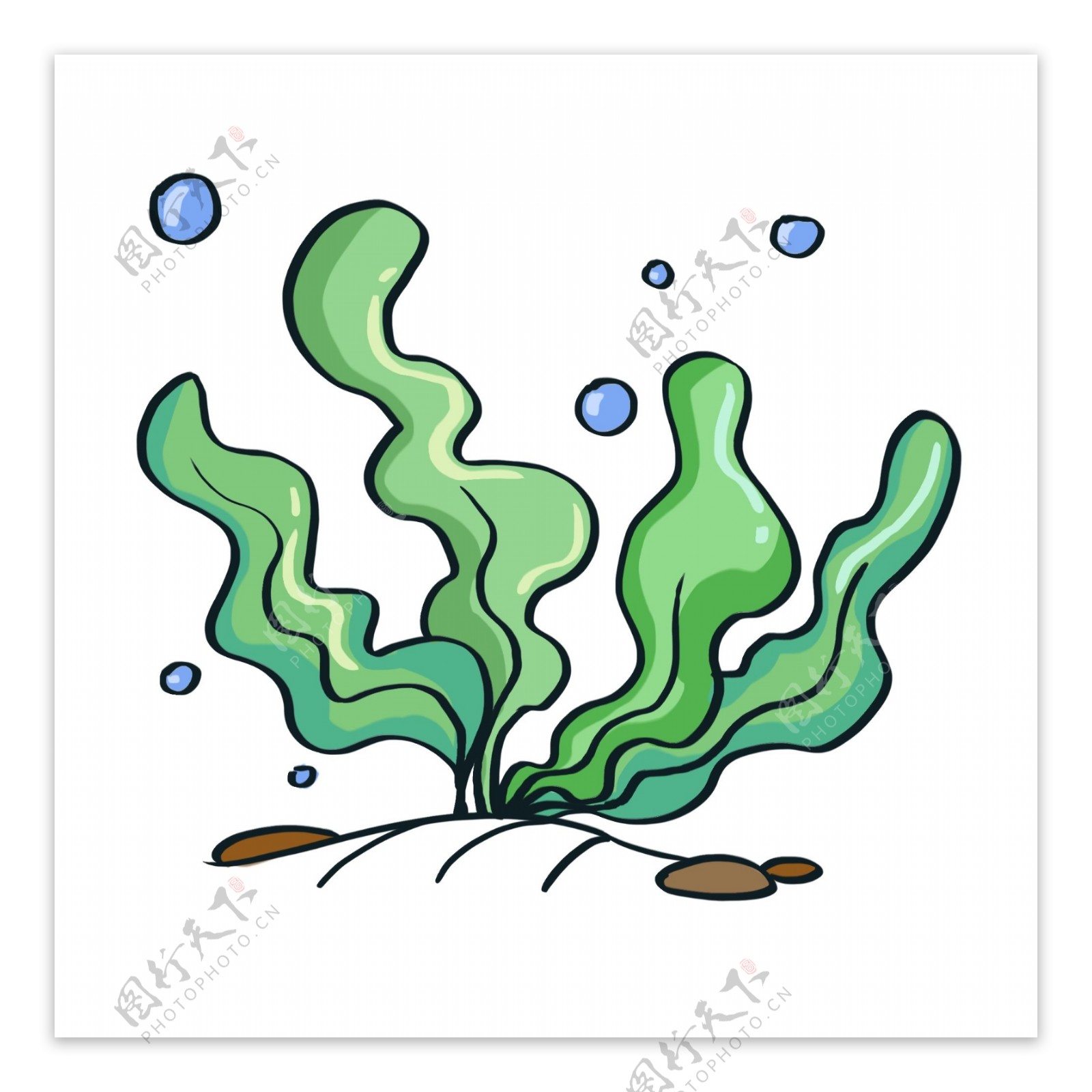 海洋植物手绘绿色海草