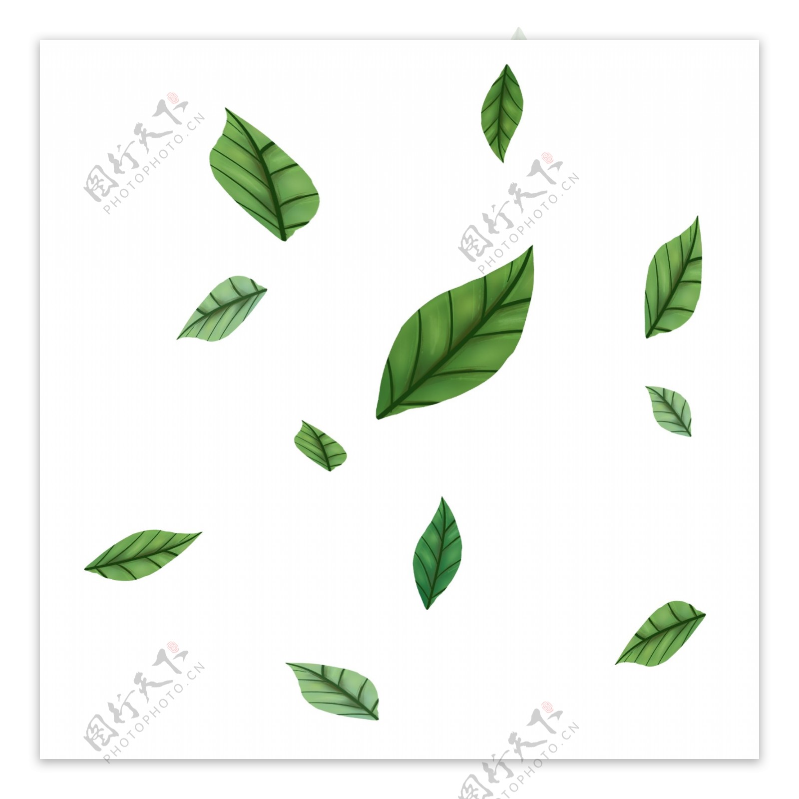 植物树叶装饰插画
