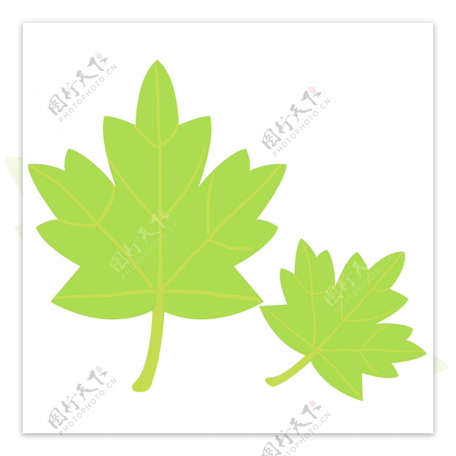浅绿色卡通手绘绿色枫叶树叶