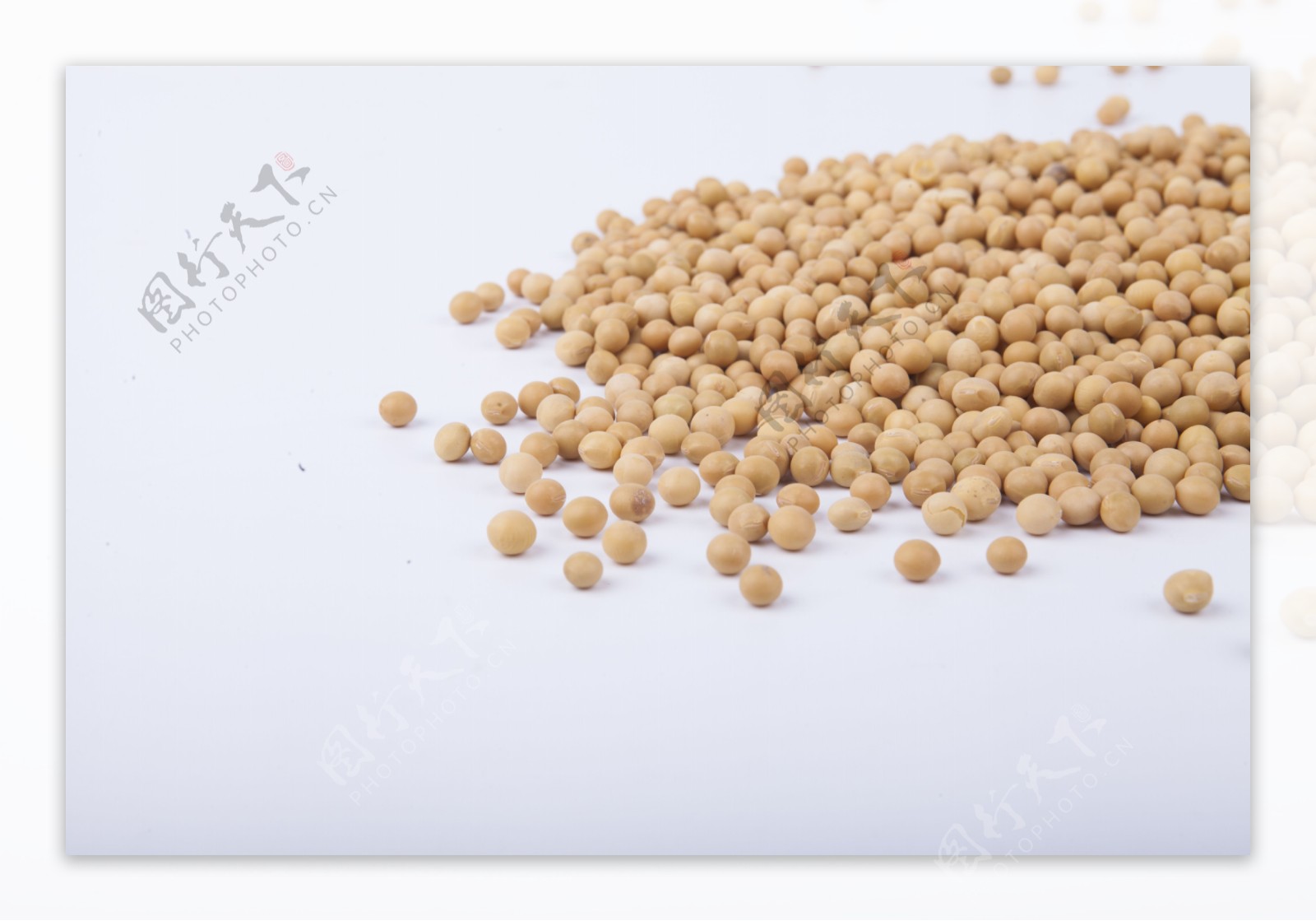 黄豆杂粮实物图摄影图2