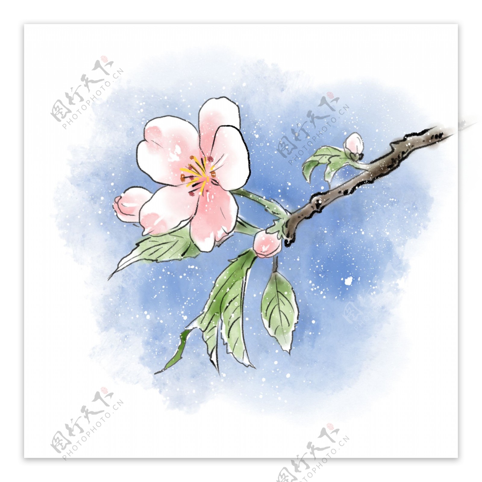 水彩手绘樱花植物花朵桃花春天清明谷雨花瓣