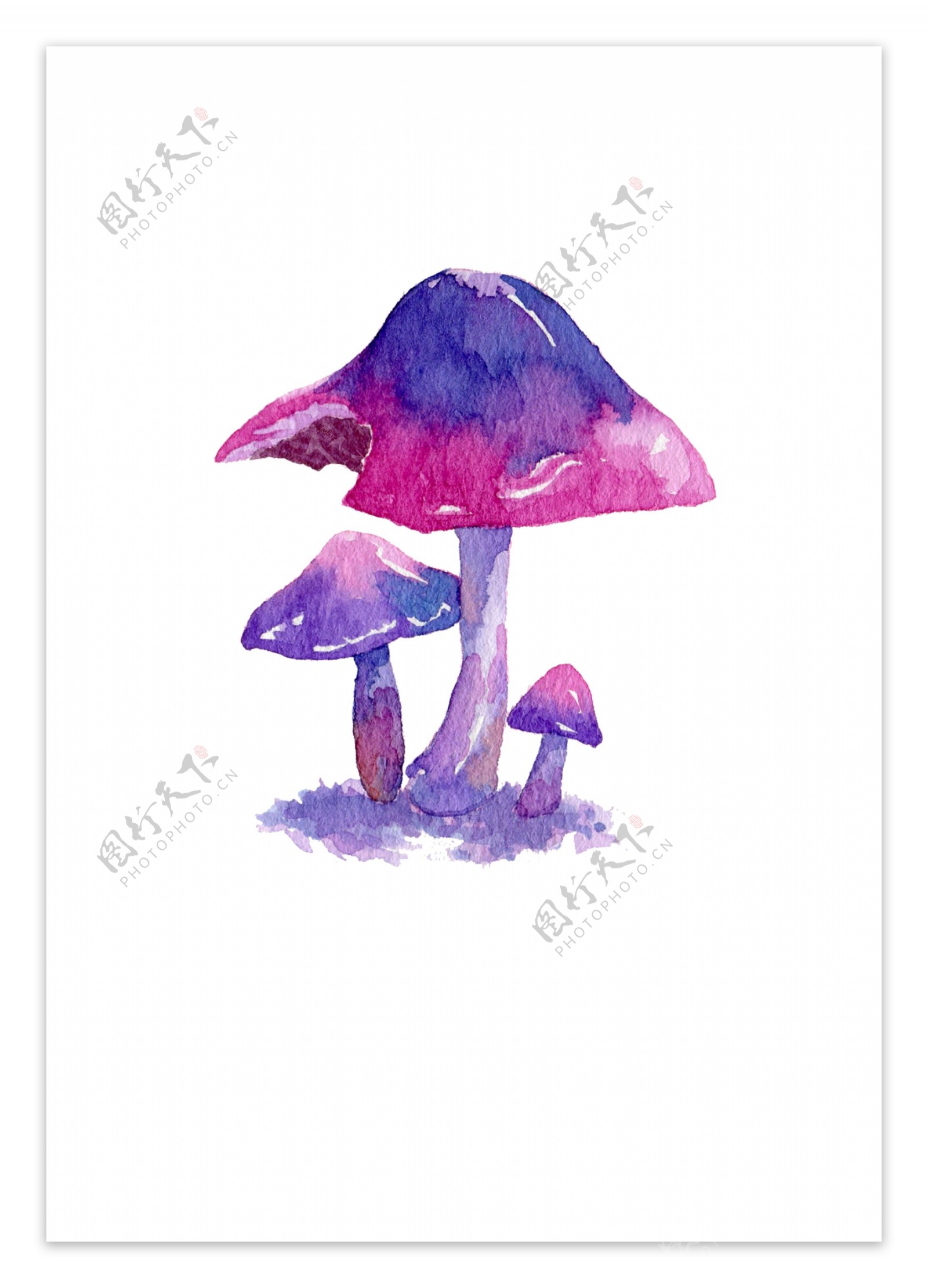 蘑菇食物卡通手绘插画水彩