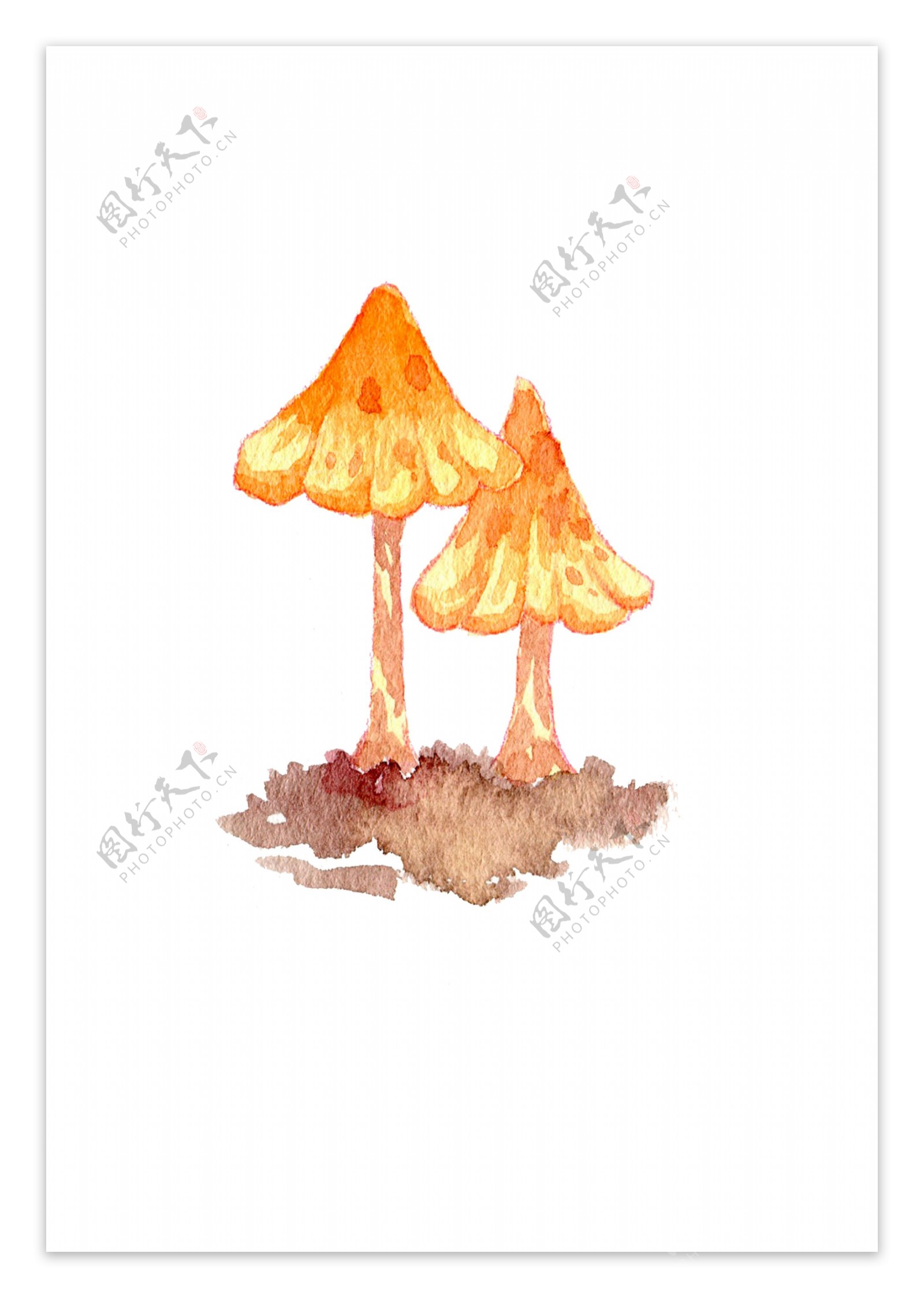 秋季菇类菌类蘑菇手绘蘑水彩蘑菇