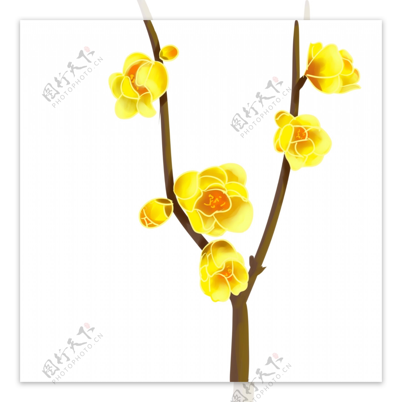 中国风手绘黄色梅花