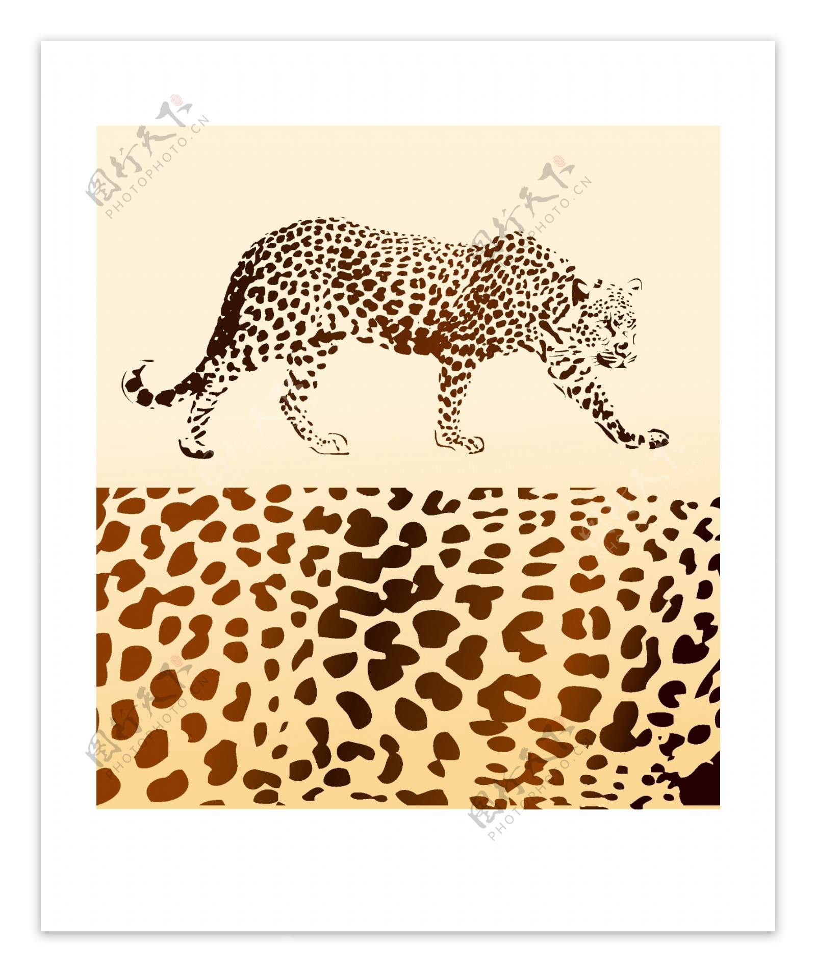 豹豹纹动物豹纹动物