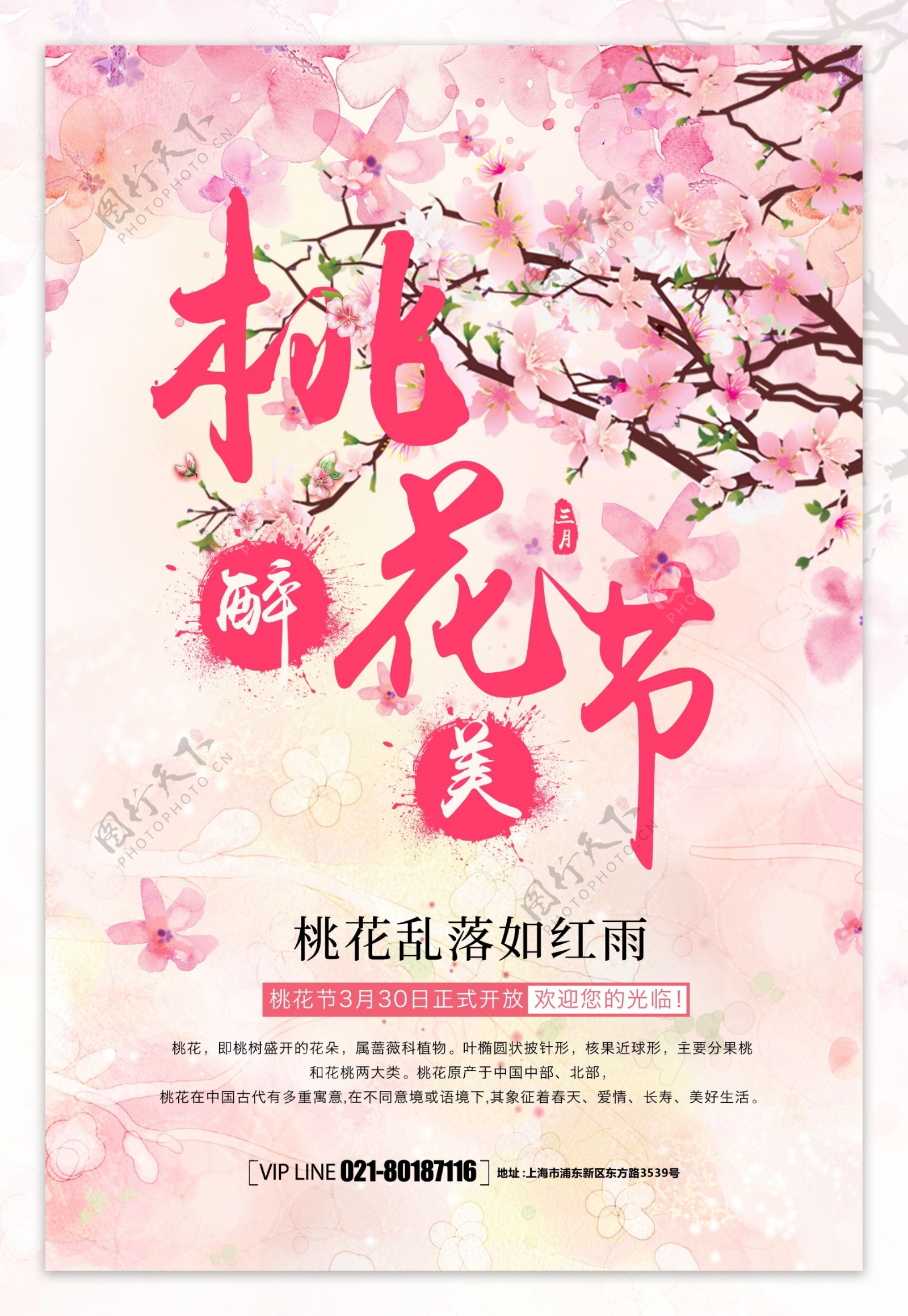 醉美桃花节春季旅游海报设计