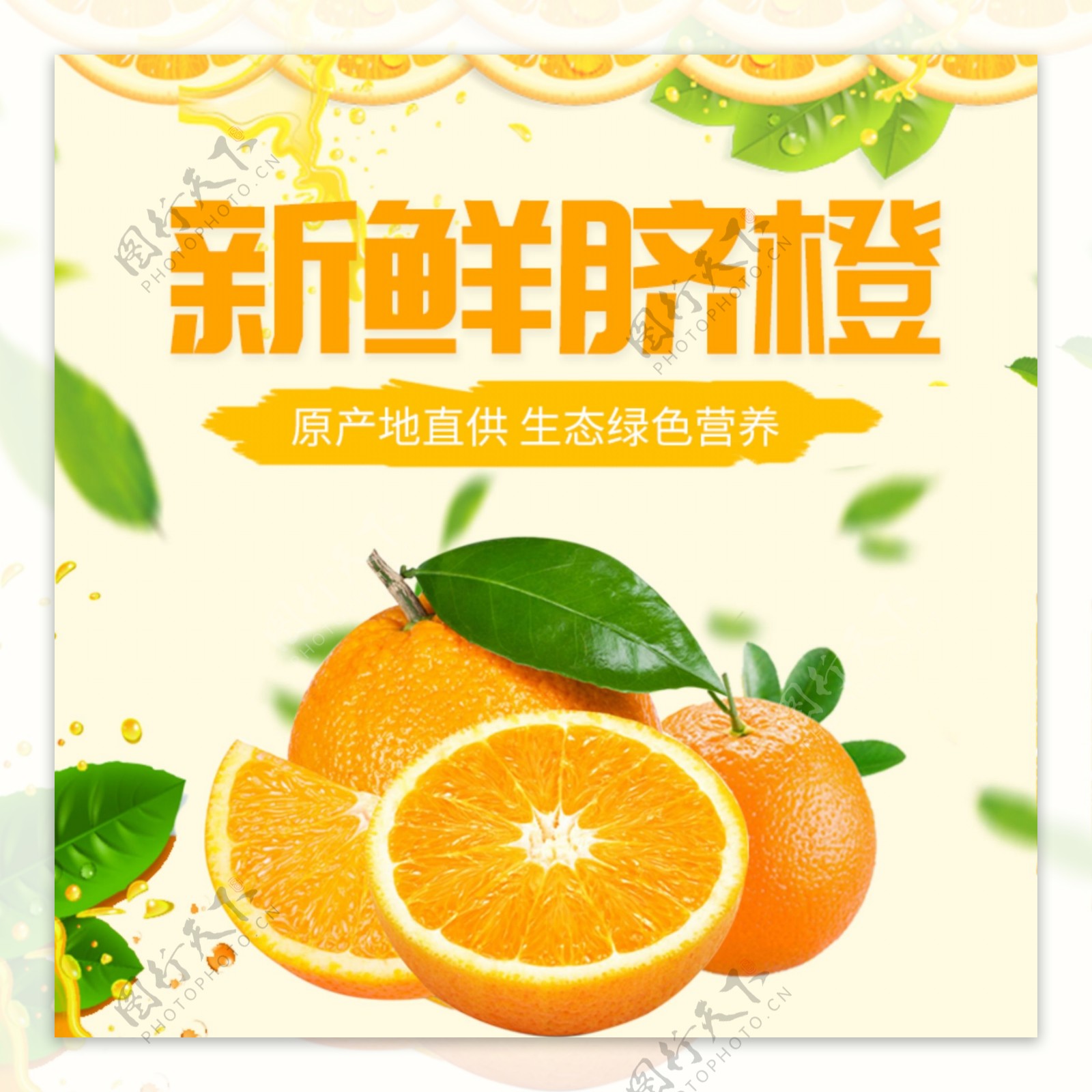 新鲜脐橙水果促销淘宝主图
