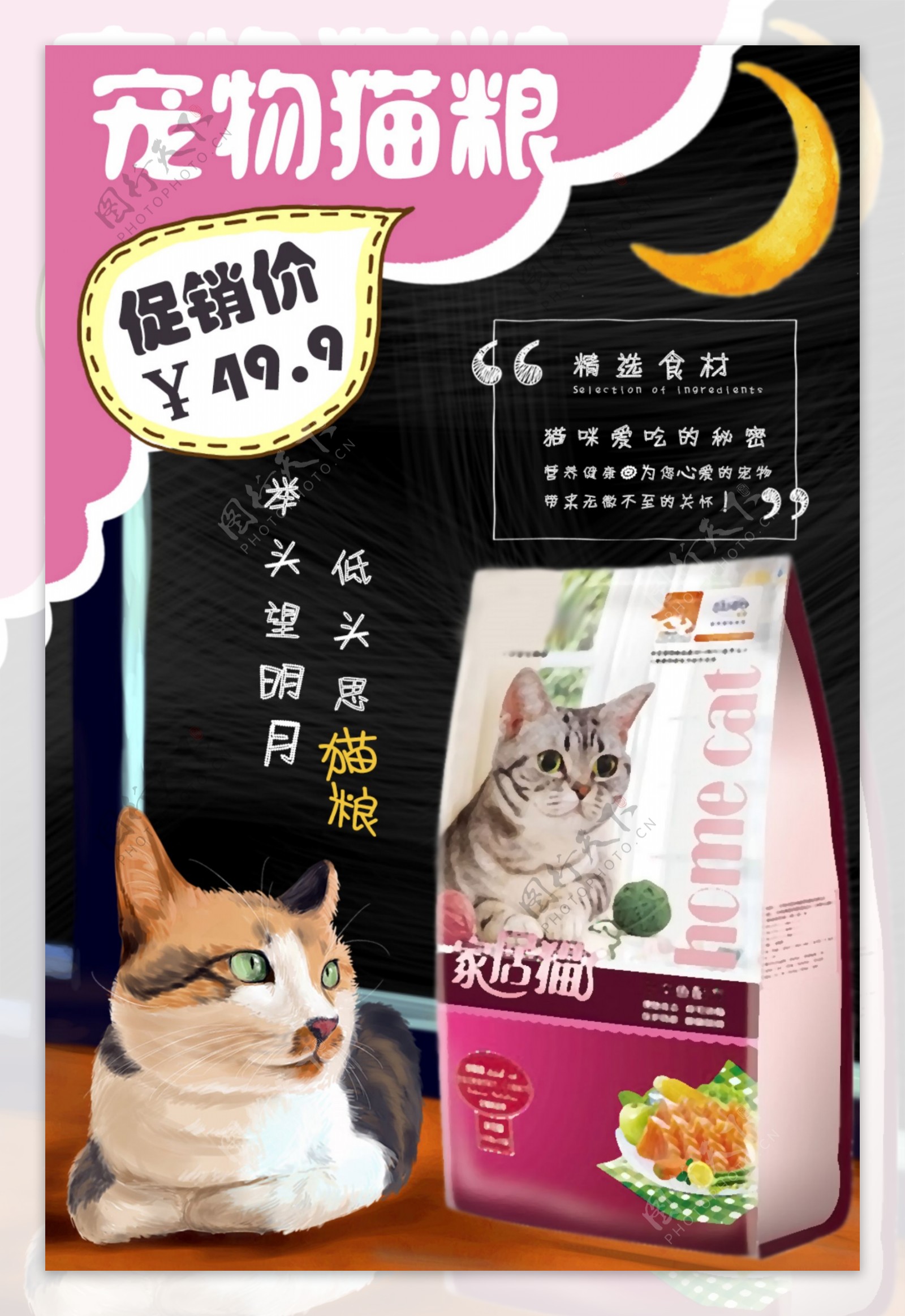 宠物猫粮促销海报