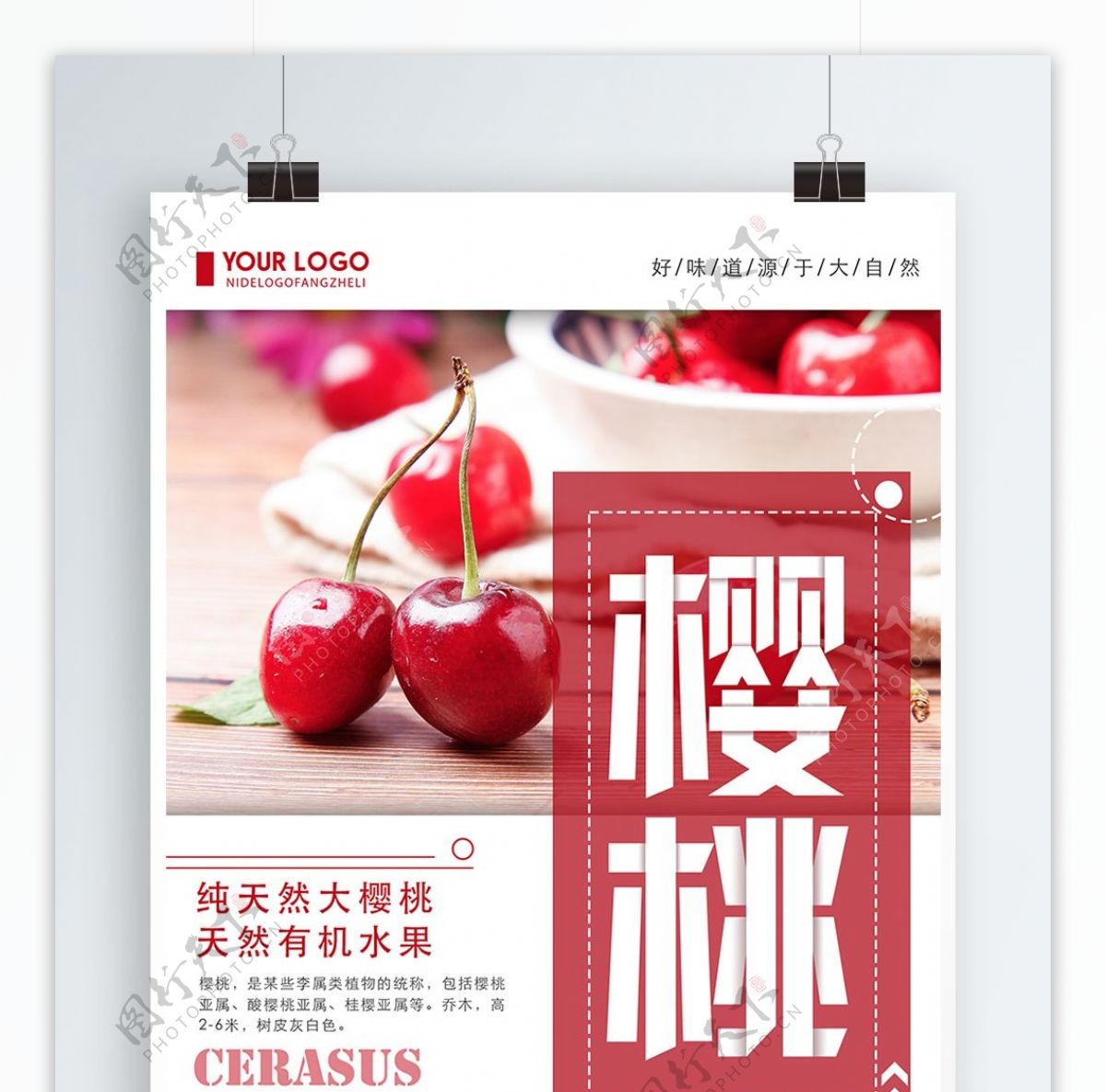 红色清新简约樱桃食物宣传海报