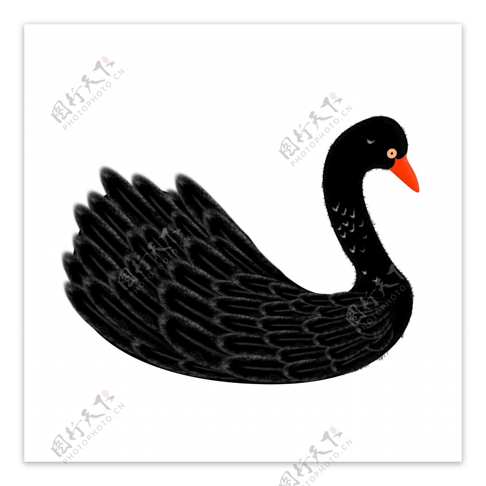 黑色情人节手绘黑天鹅设计元素