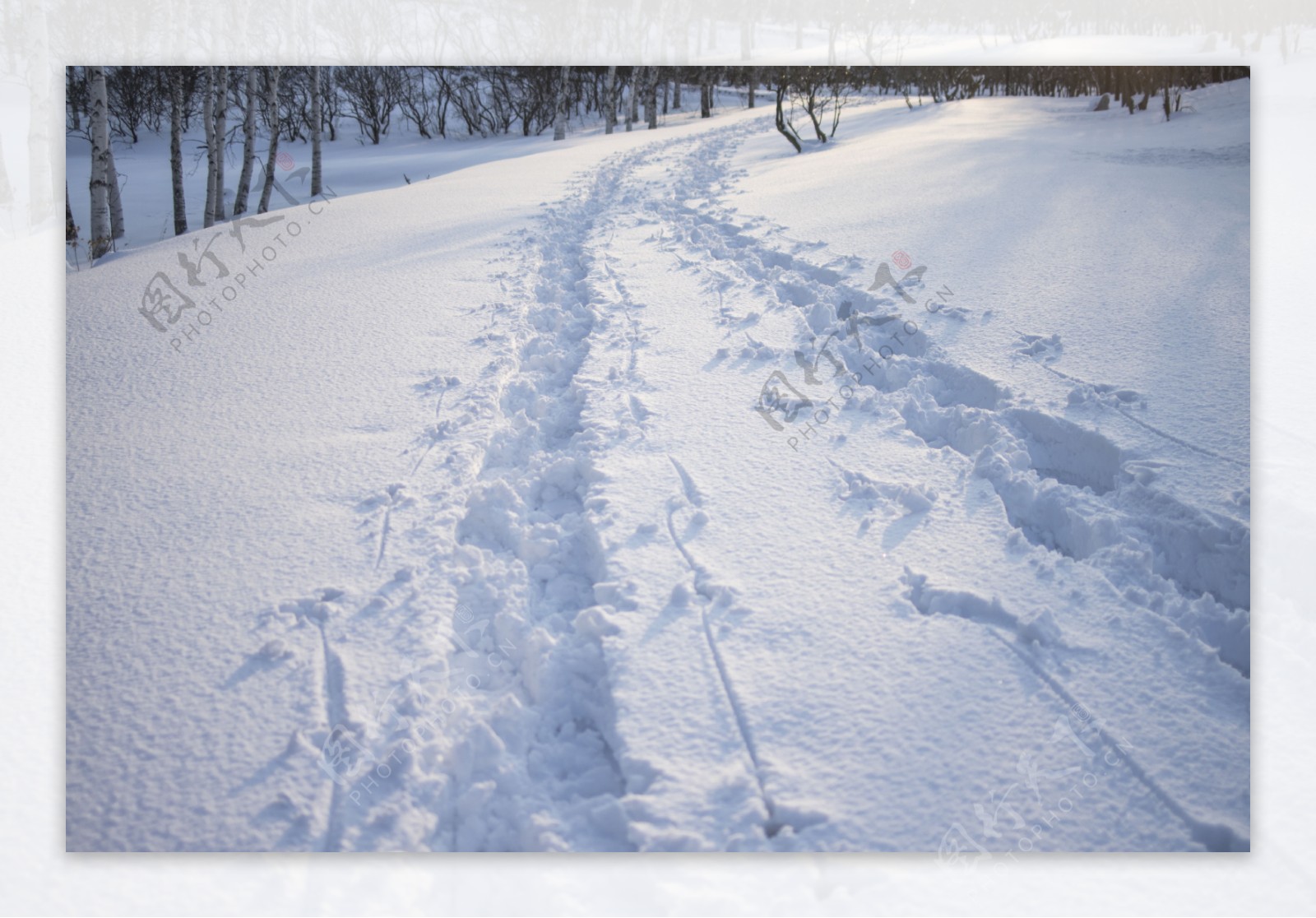 山坡积雪足迹