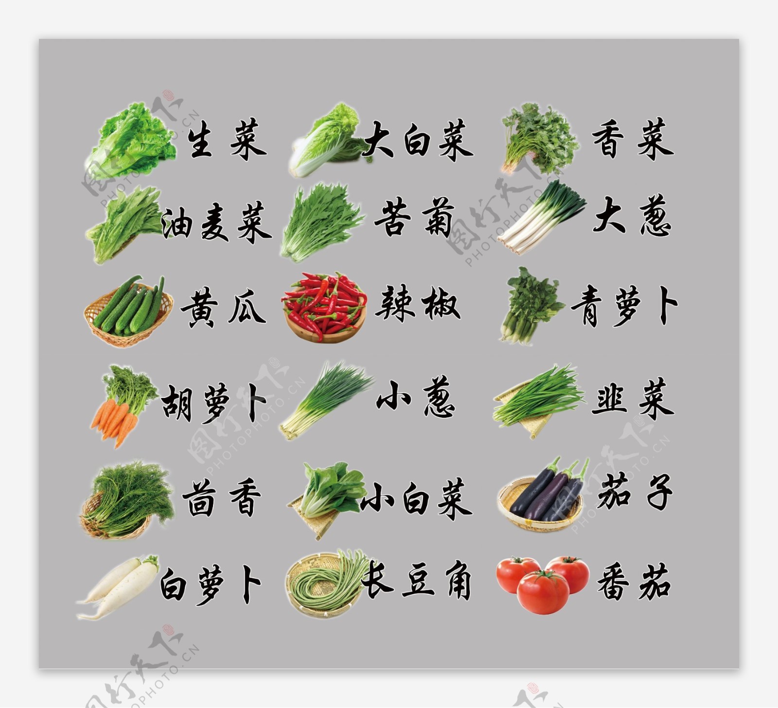 蔬菜模板