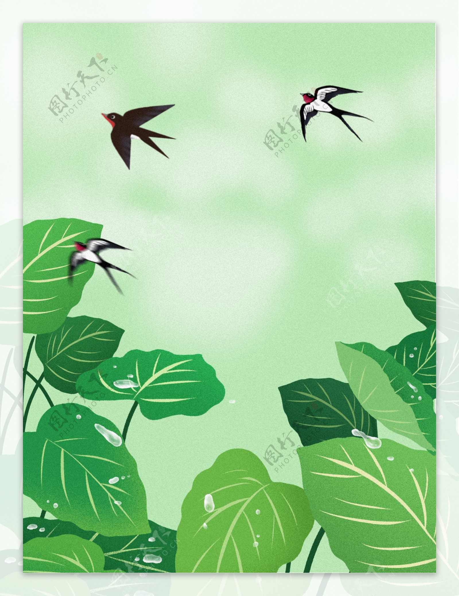清新立夏绿叶燕子背景设计