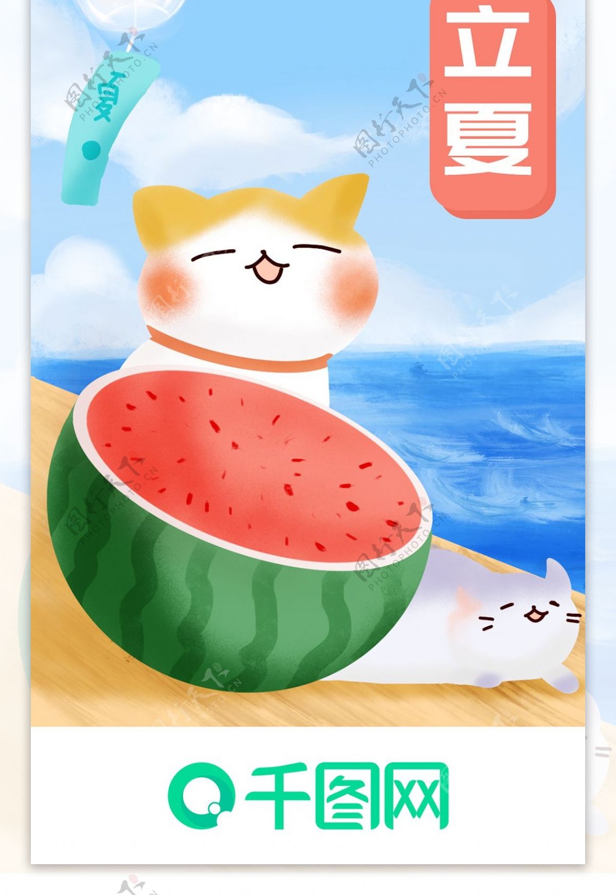 立夏手机app启动页西瓜猫夏天