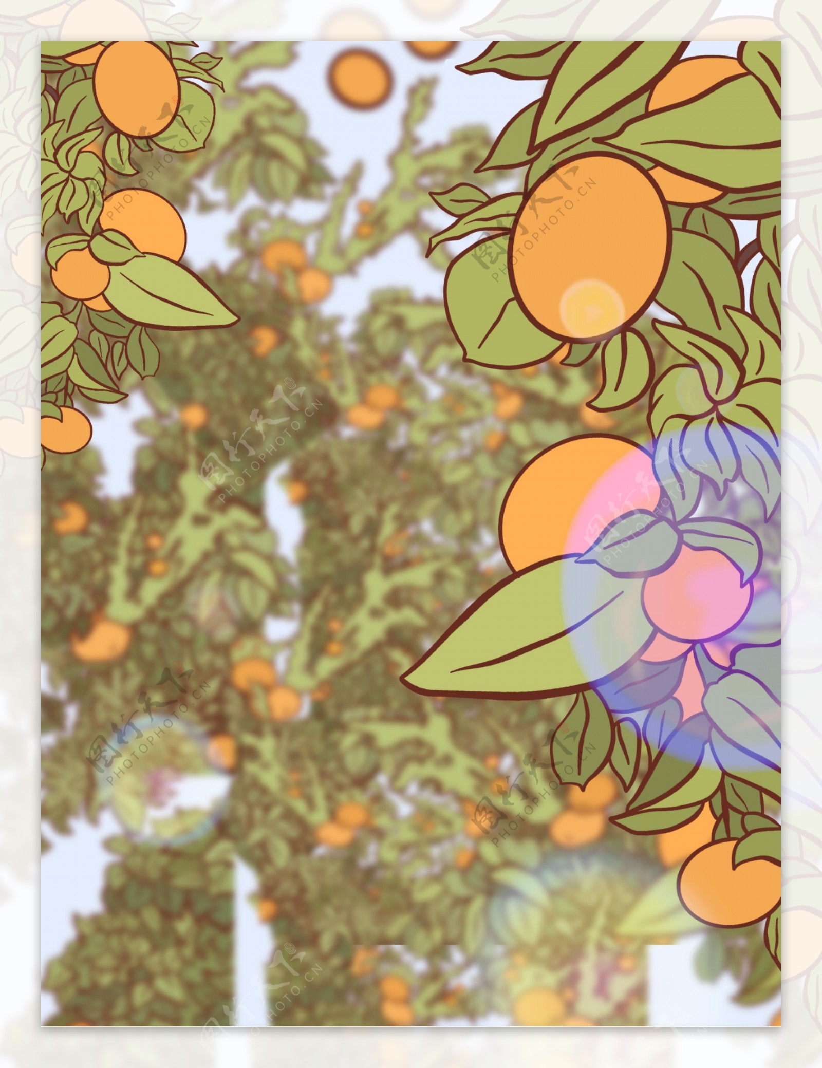 立夏节气果园橙子熟了背景设计