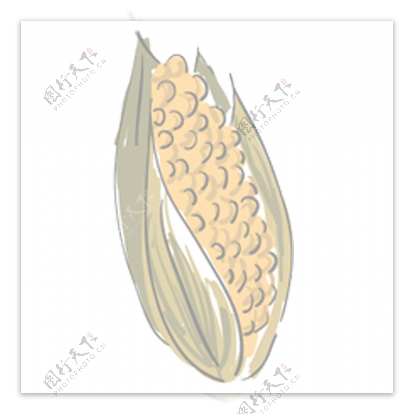 手绘的玉米装饰素材