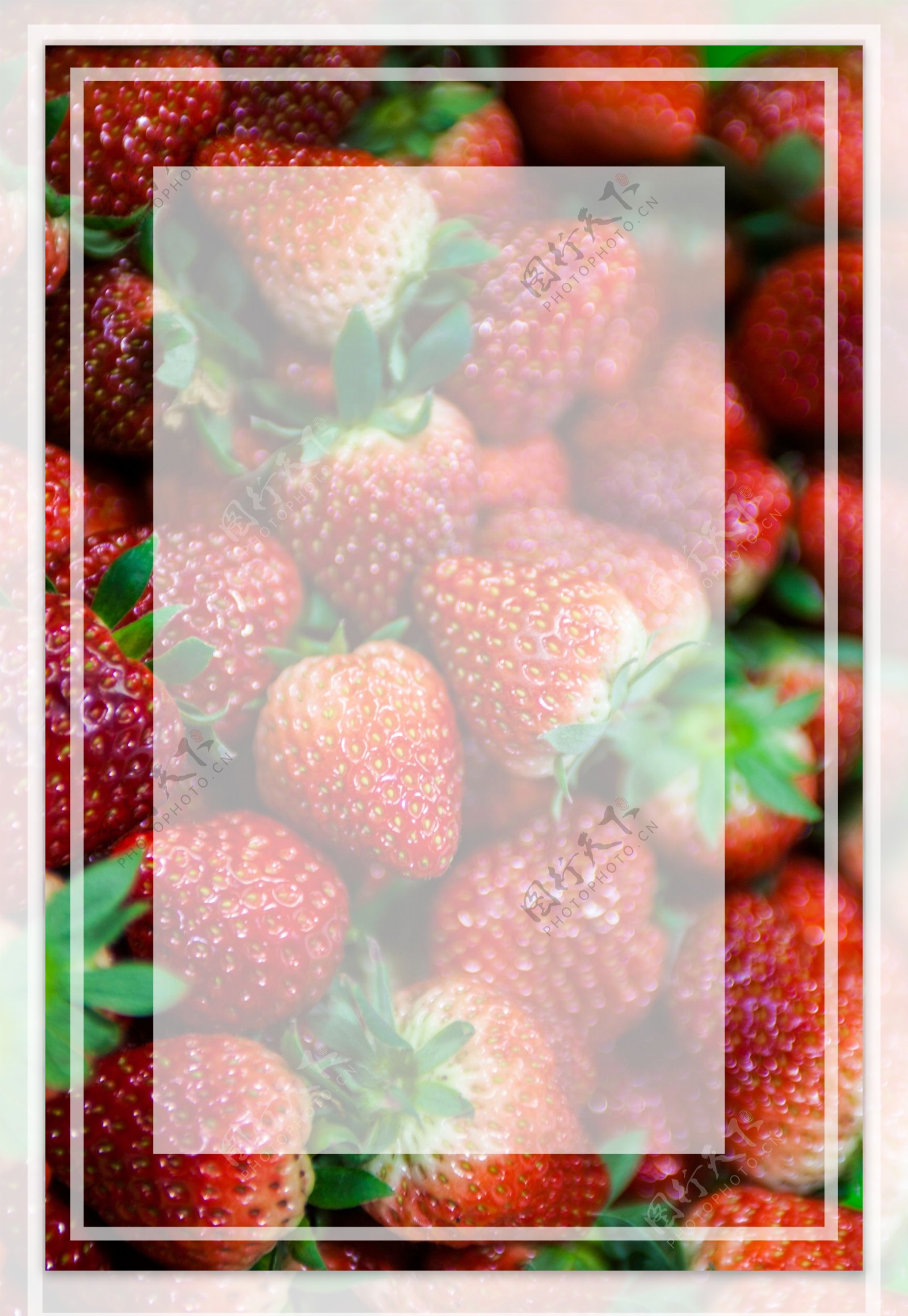 草莓宣传海报设计