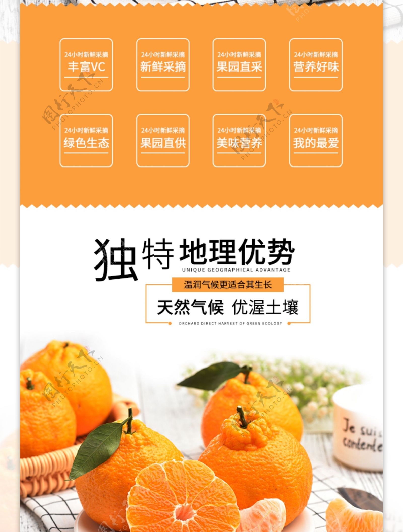 营养好味道丑橘促销淘宝详情页