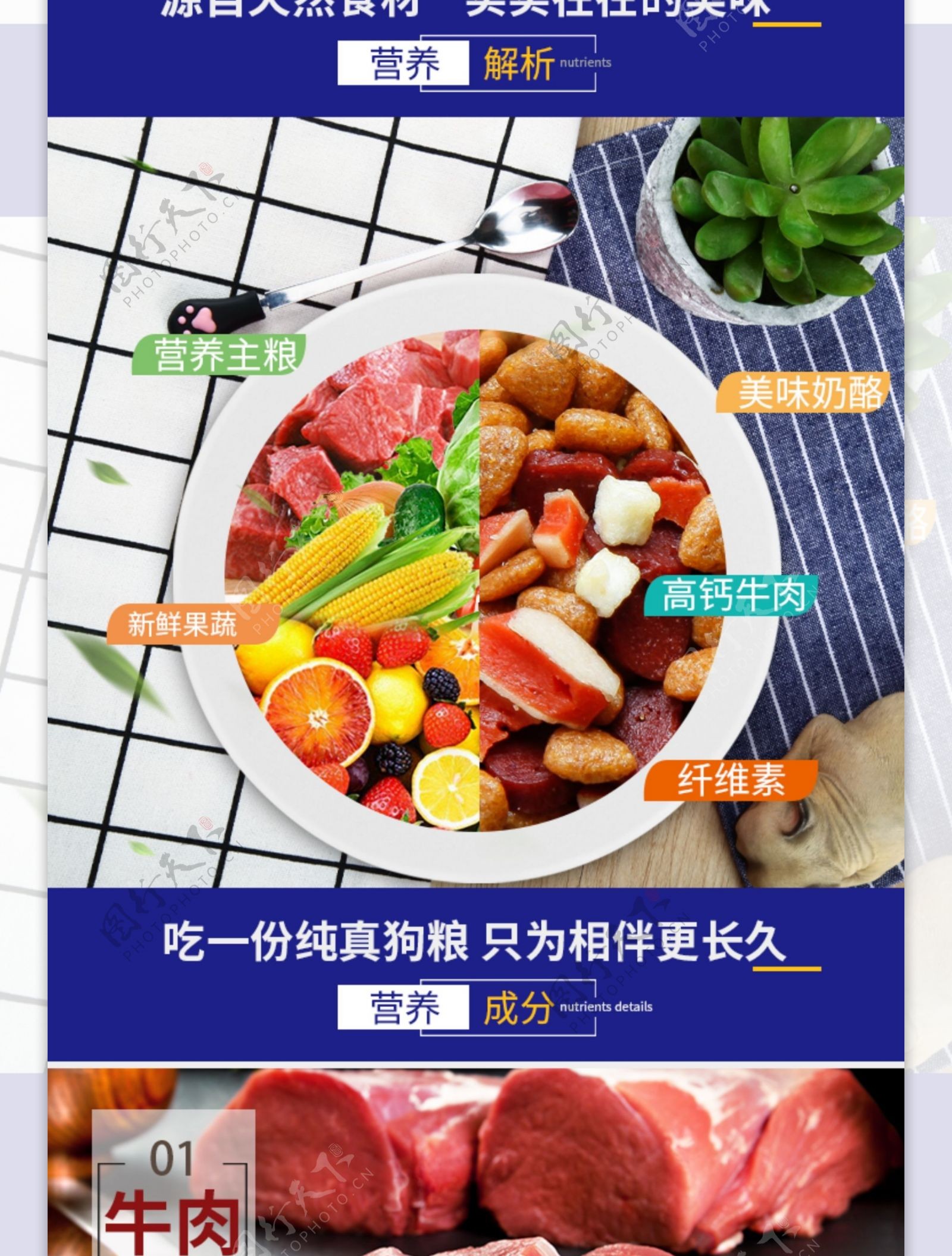 宠物食品促销淘宝详情页