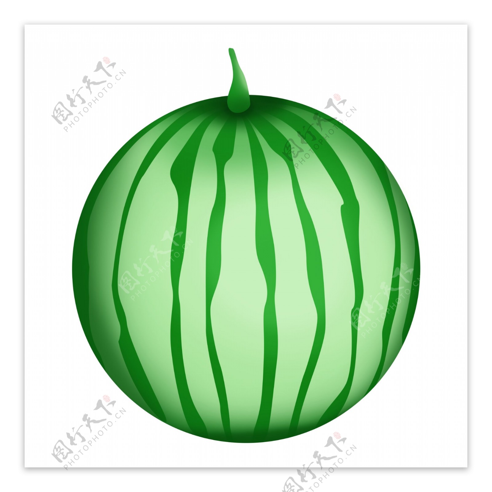 绿色圆形西瓜