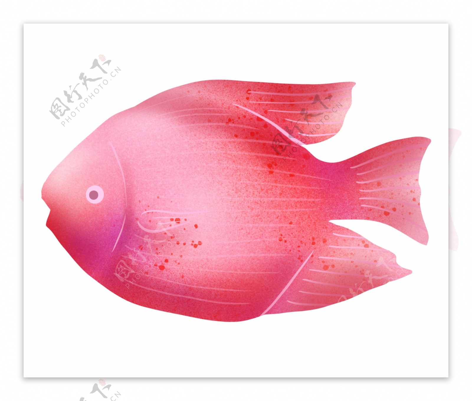 粉色可爱小鱼