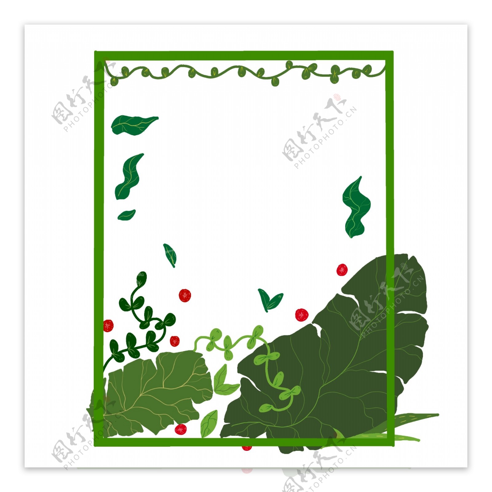 夏季绿色叶子手绘边框