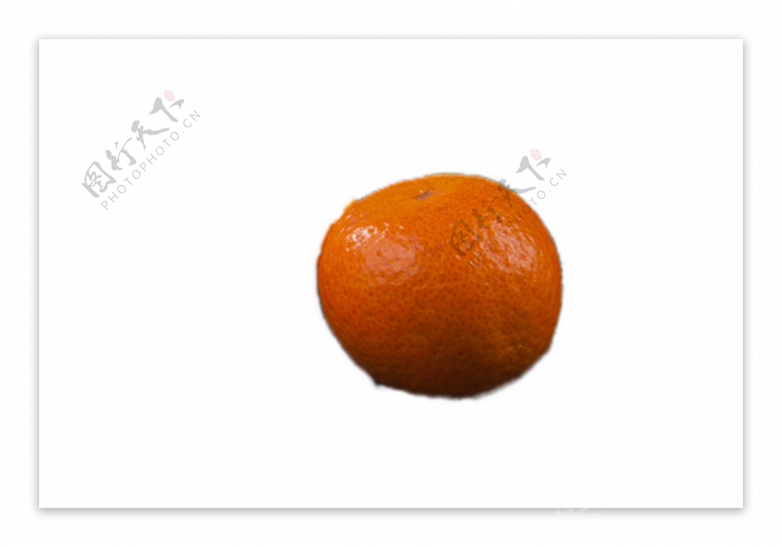 一个新鲜的大橘子