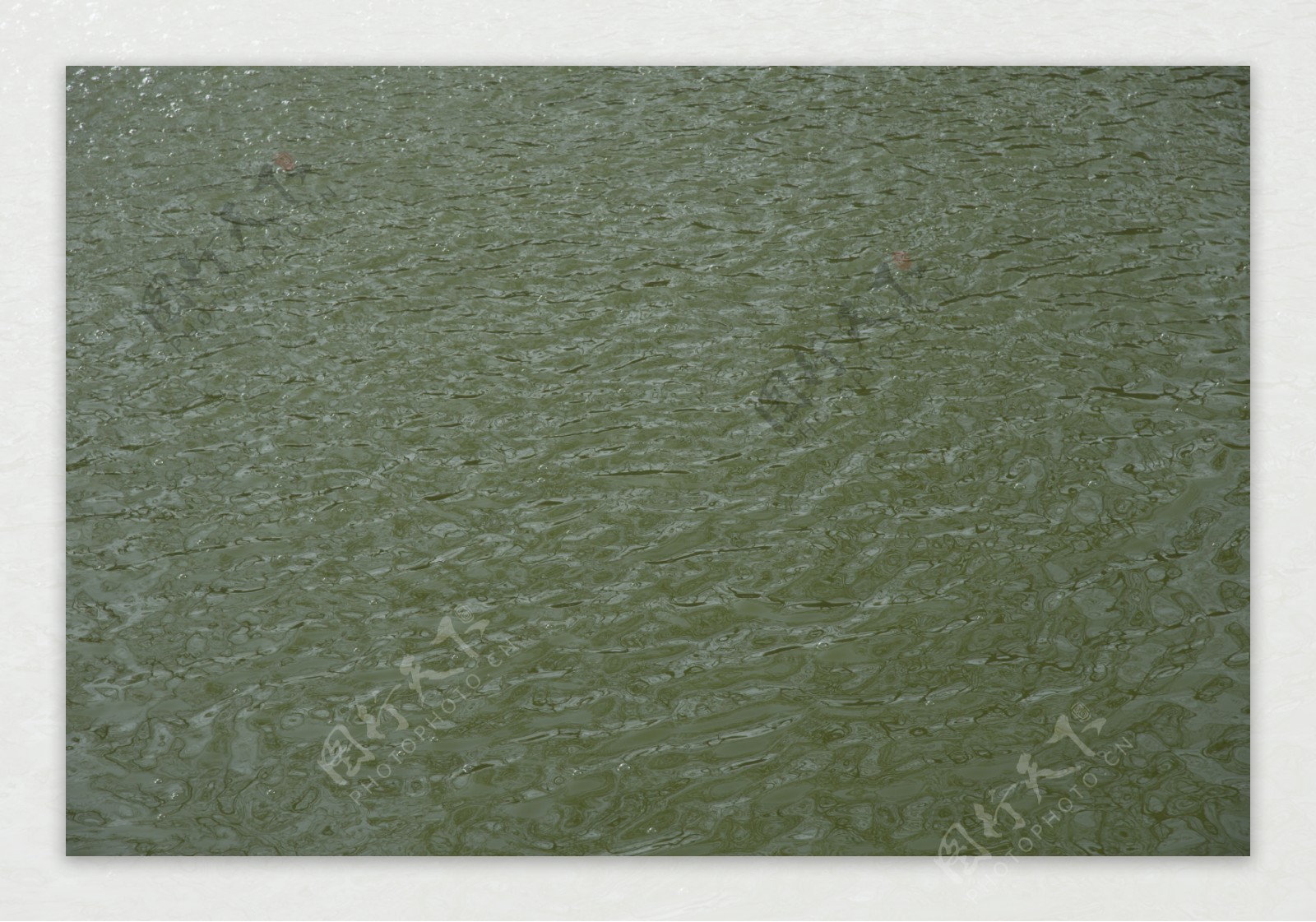 湖面波纹摄影之纹理
