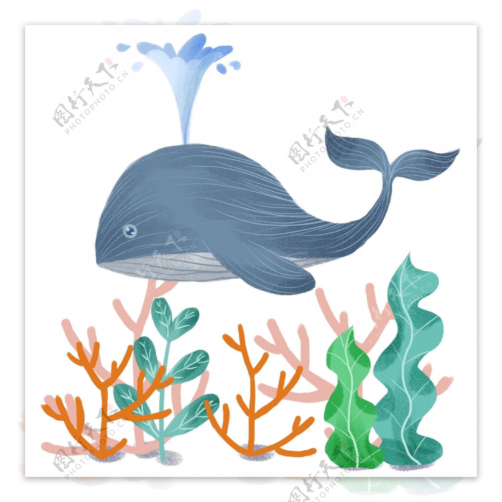 手绘海洋鲸鱼喷水卡爱卡通海底珊瑚海草