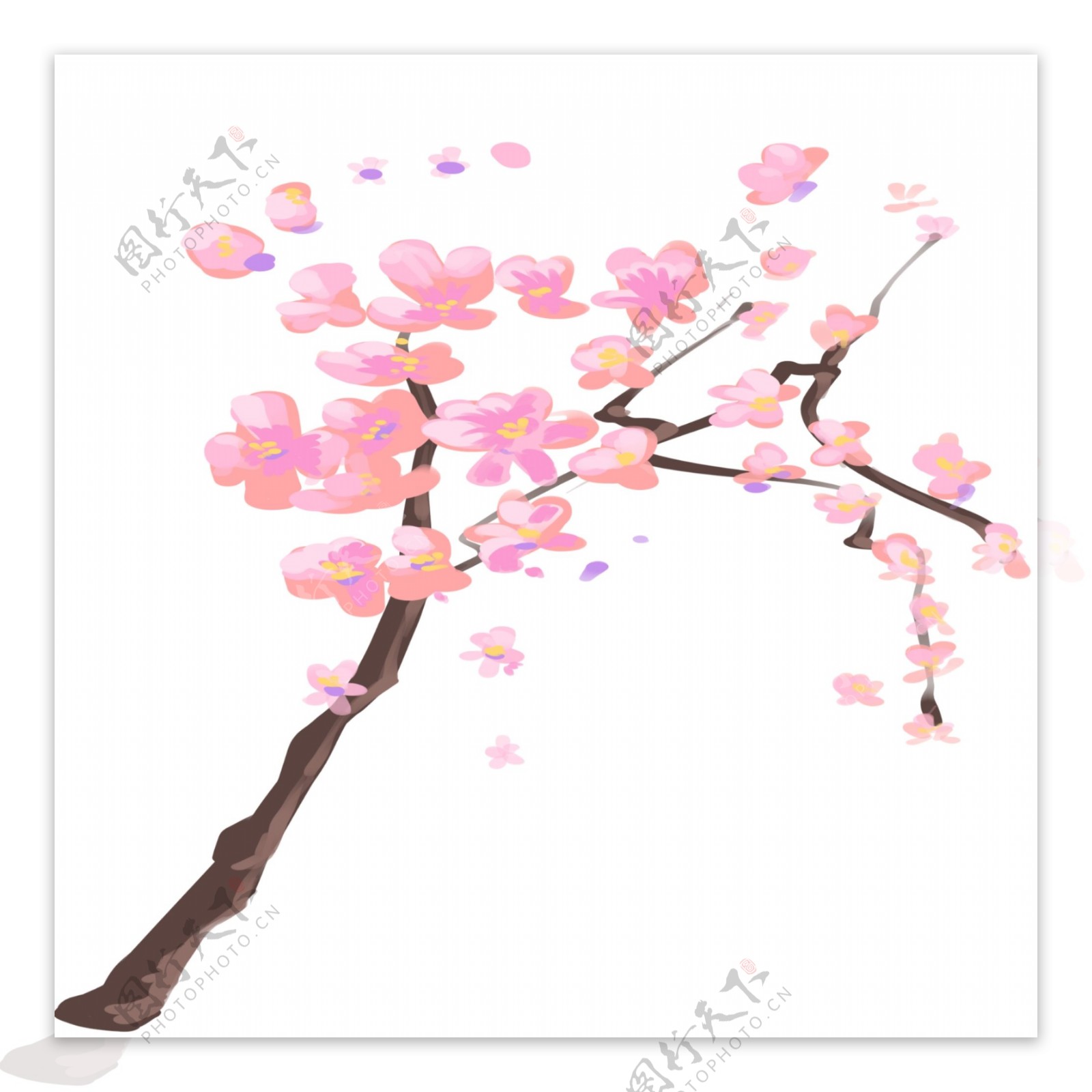 樱花树的卡通插画