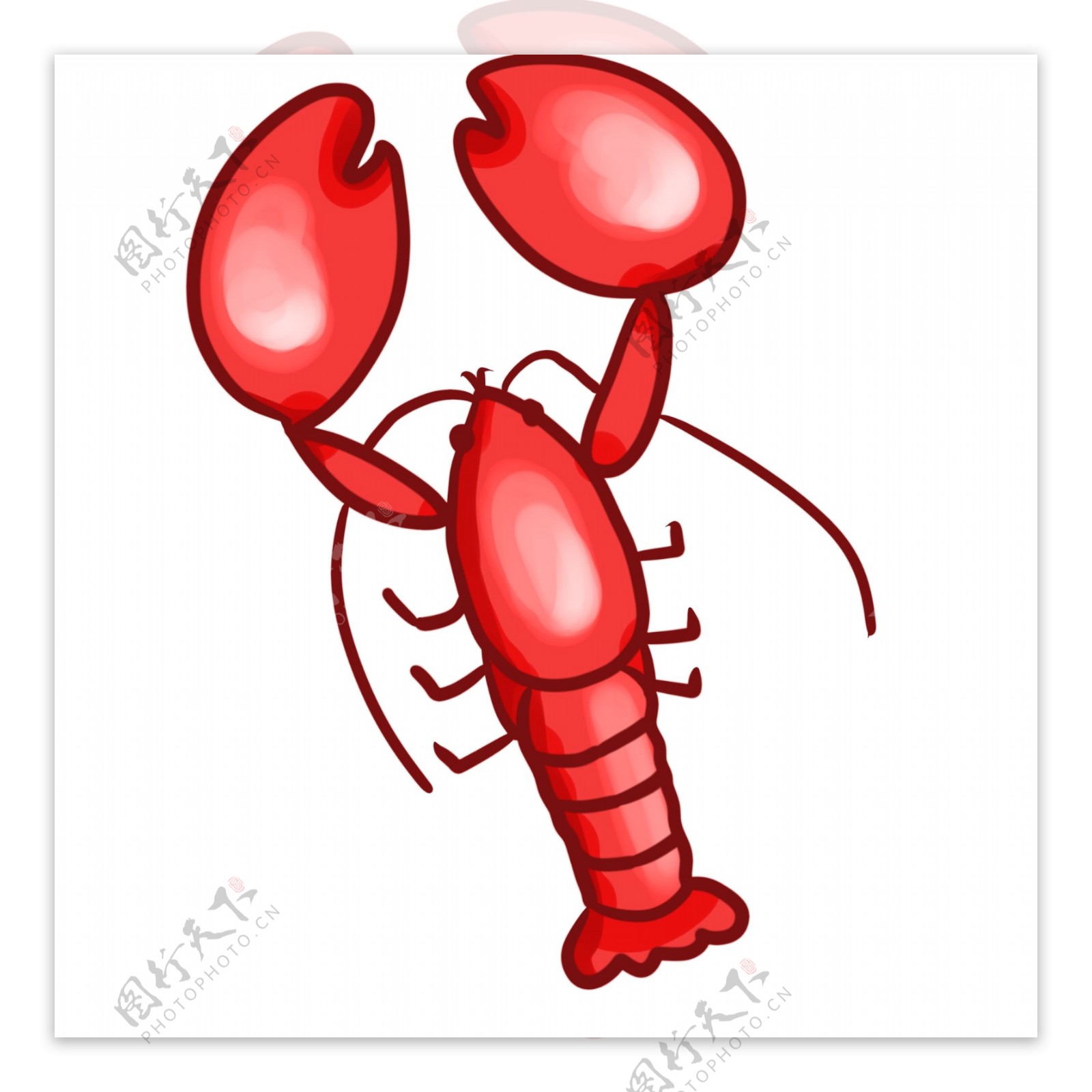 肥美的红色龙虾插画