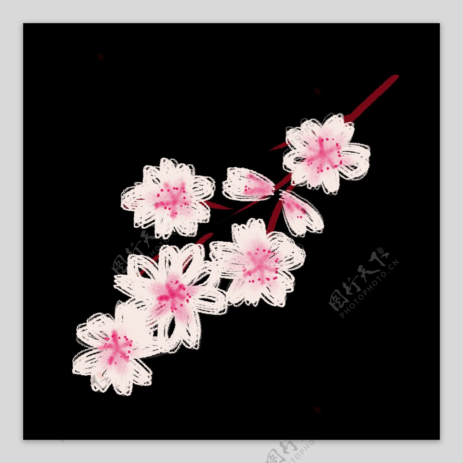 粉白色美丽的樱花插画