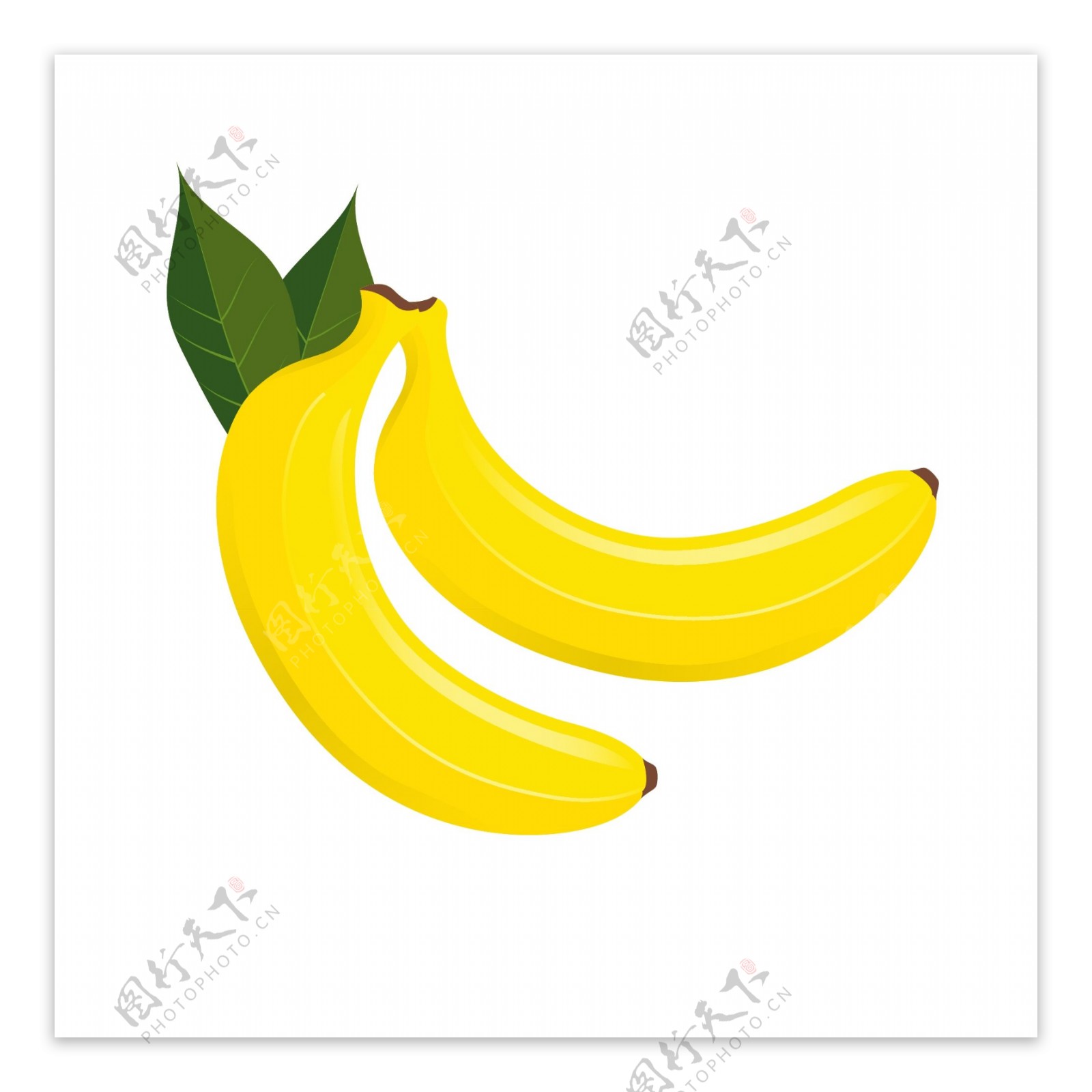蔬菜水果两个香蕉矢量卡通
