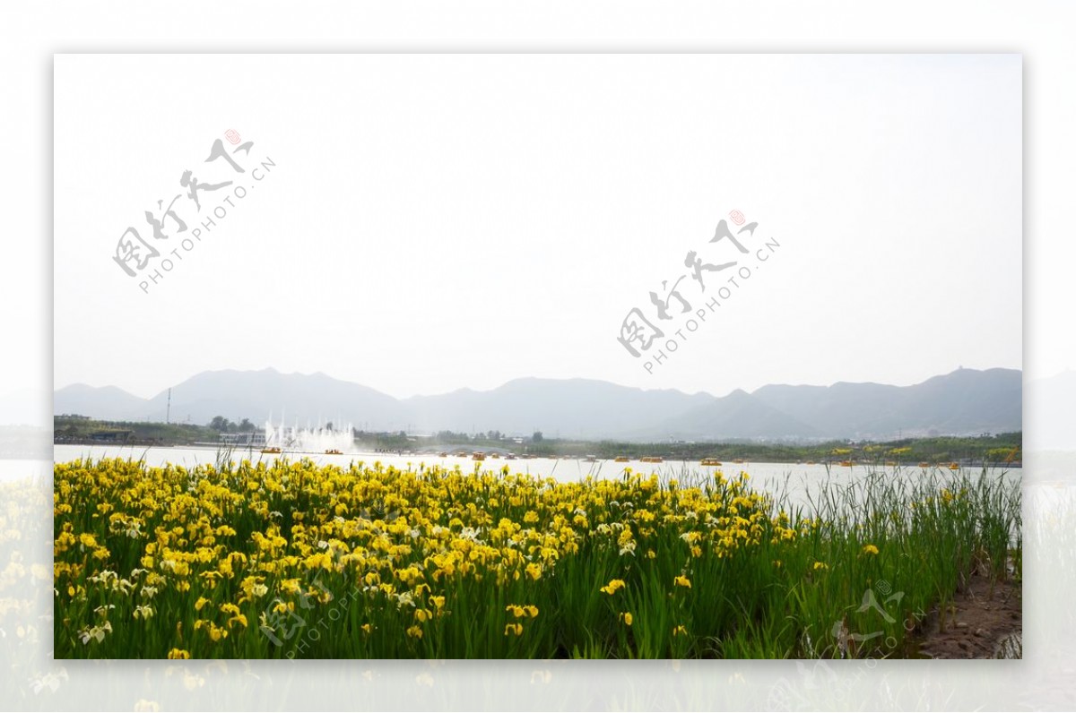 花海湖面游船水面山