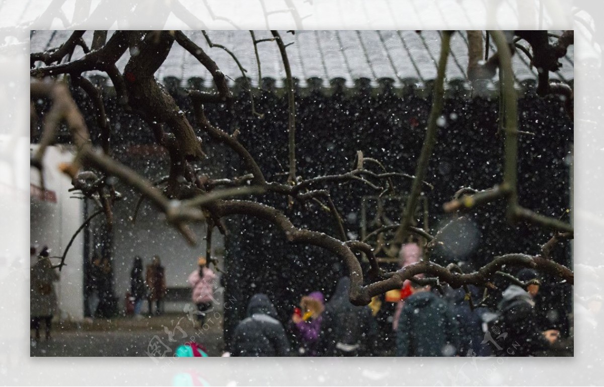 雪中游客苏州博物馆