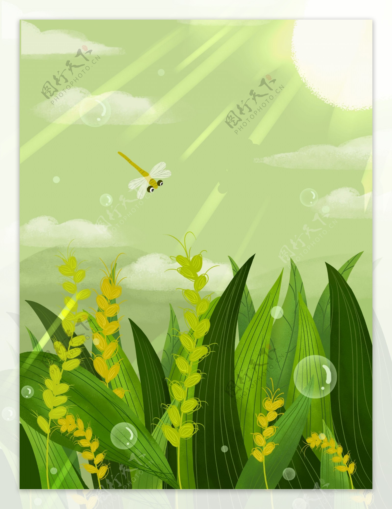 手绘夏季绿色禾苗背景设计
