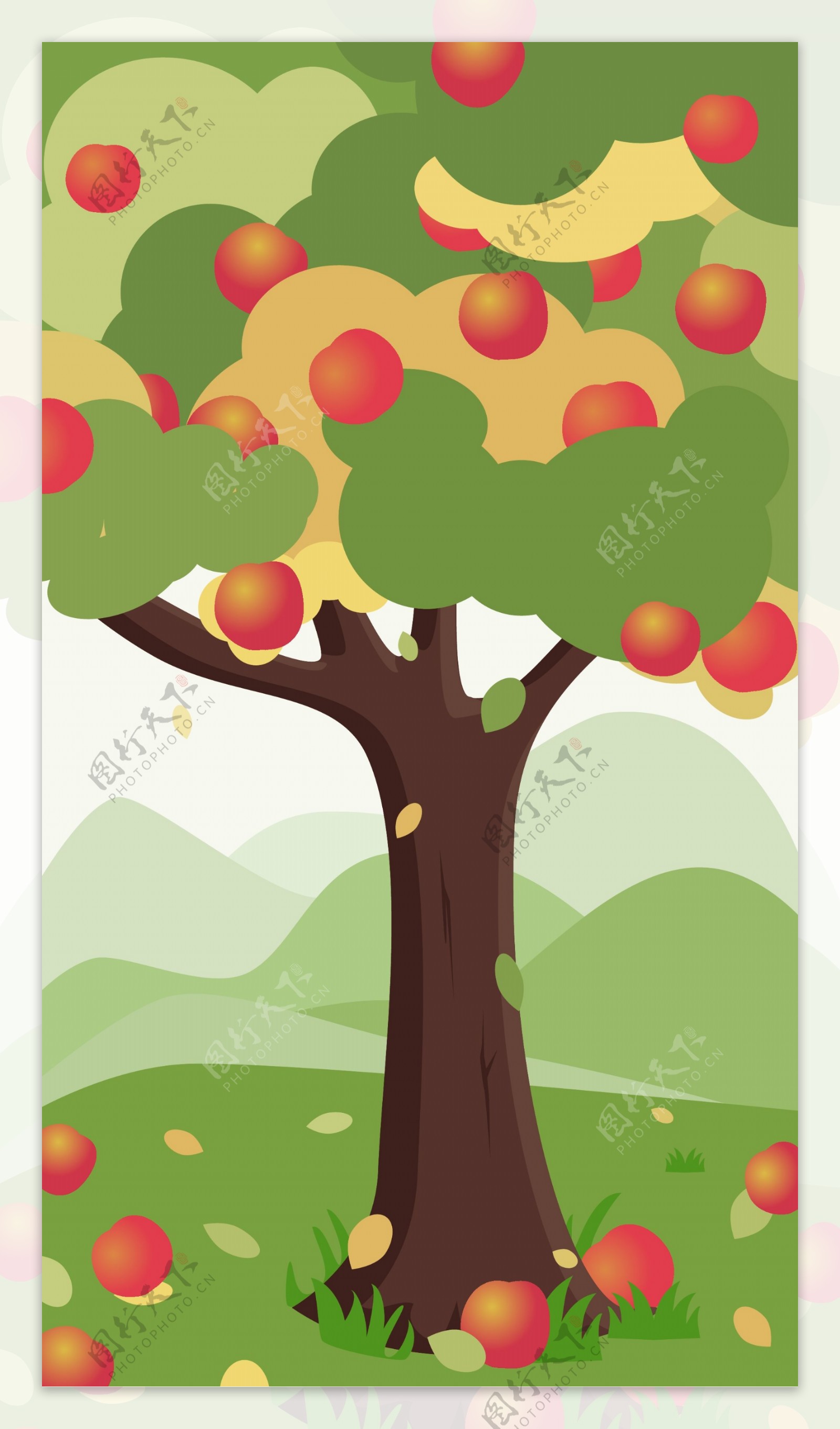 苹果树苹果插画