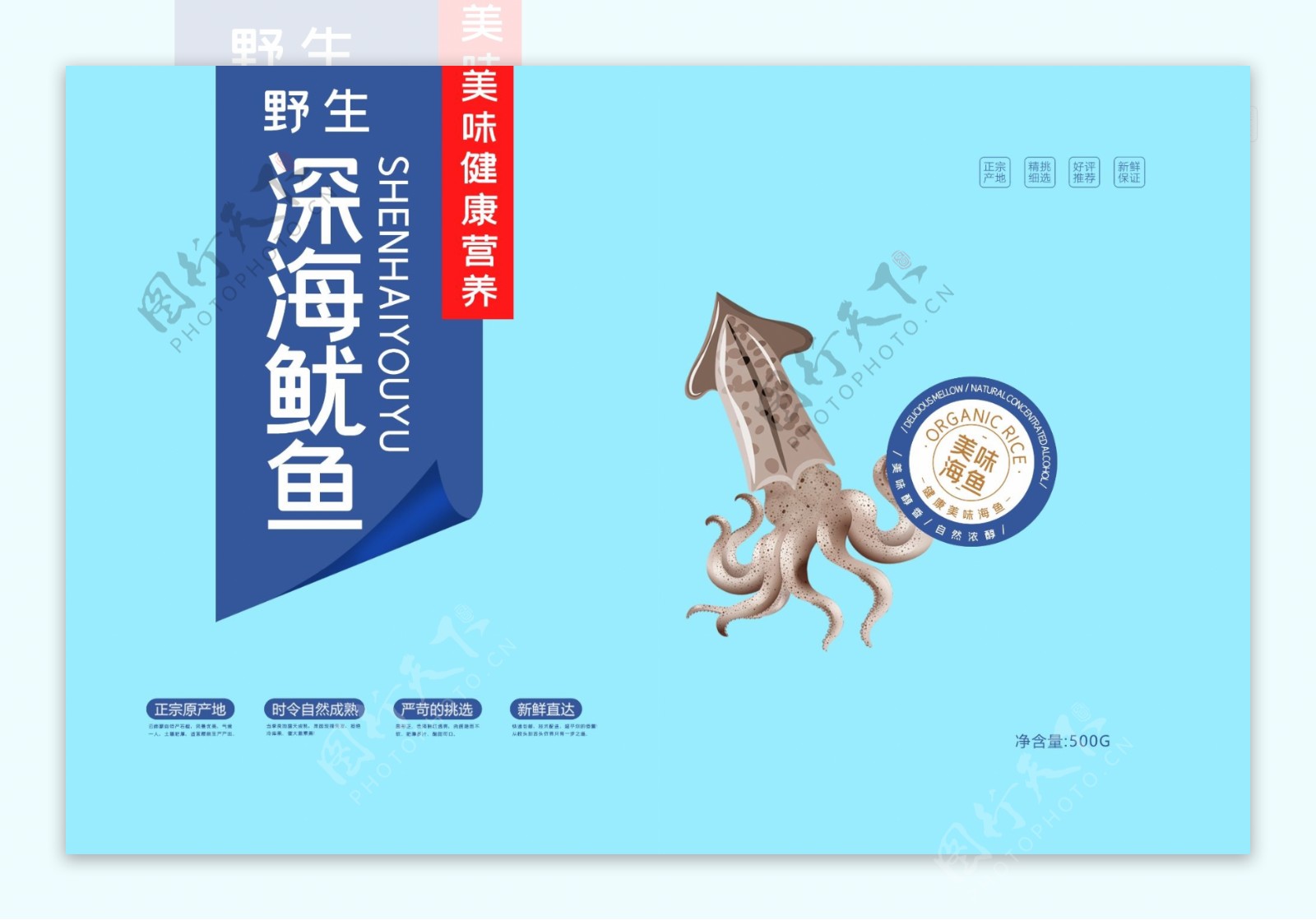 蓝色简约插画新鲜鱿鱼海鱼海鲜食品包装盒