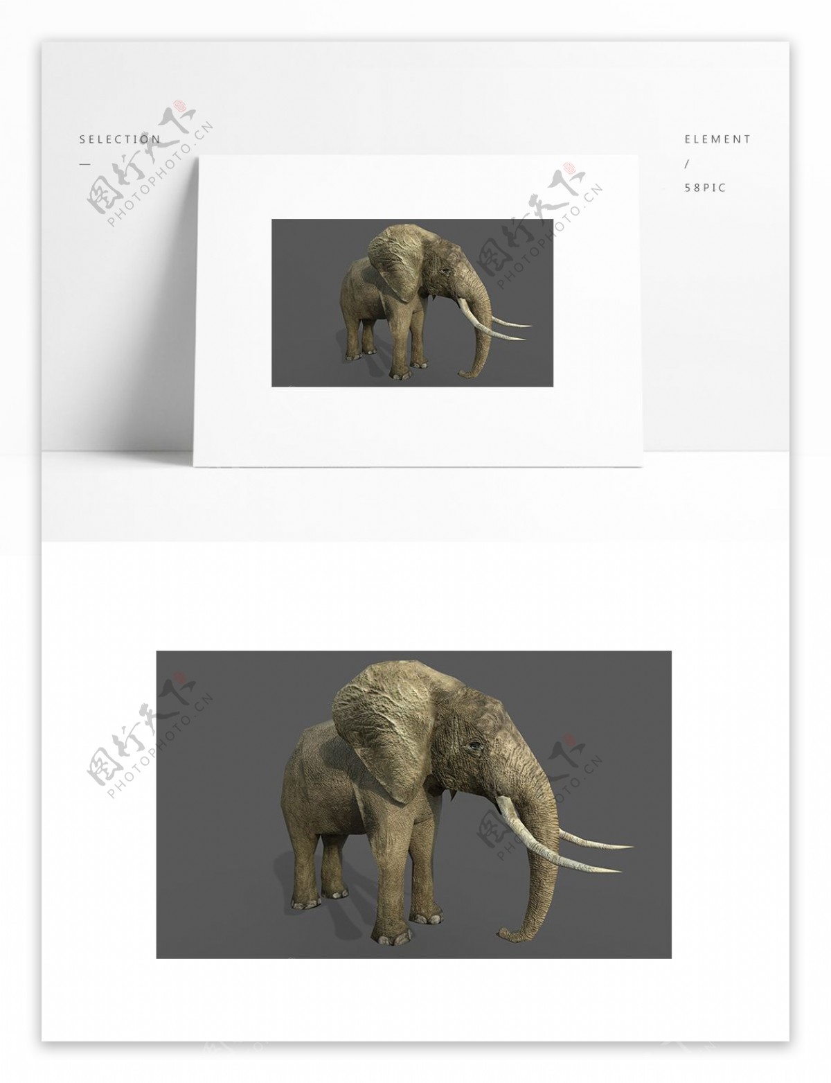 写实动物模型大象带贴图矢量图