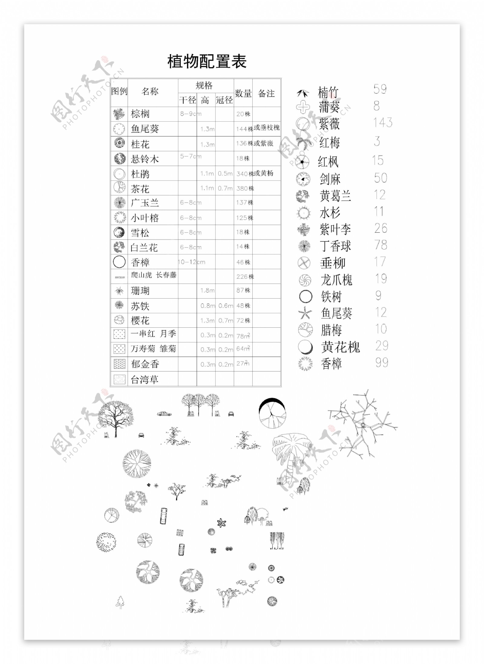 CAD树木立面绘图