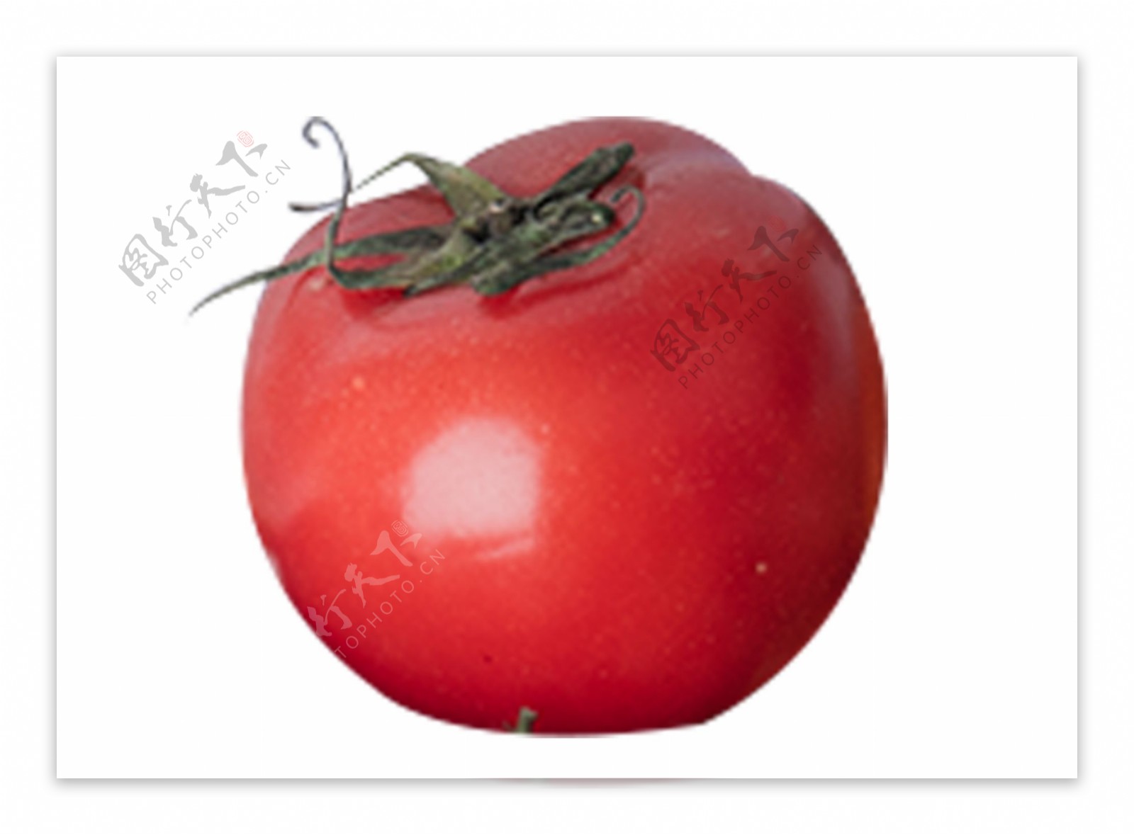 大西红柿完整一个