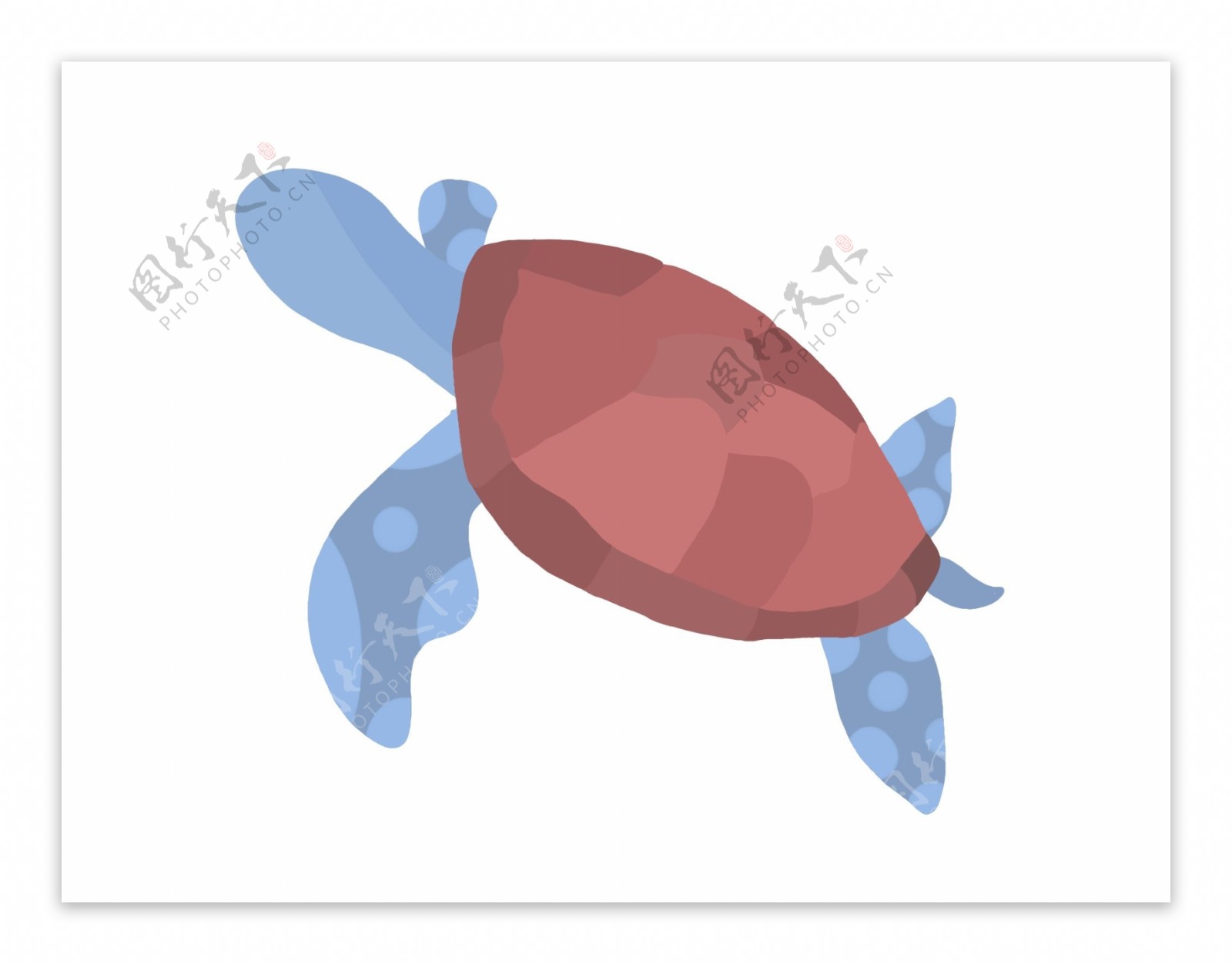 蓝色海龟生物装饰