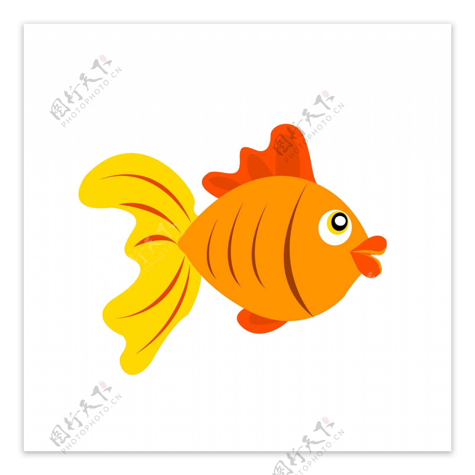 金色小鱼动物