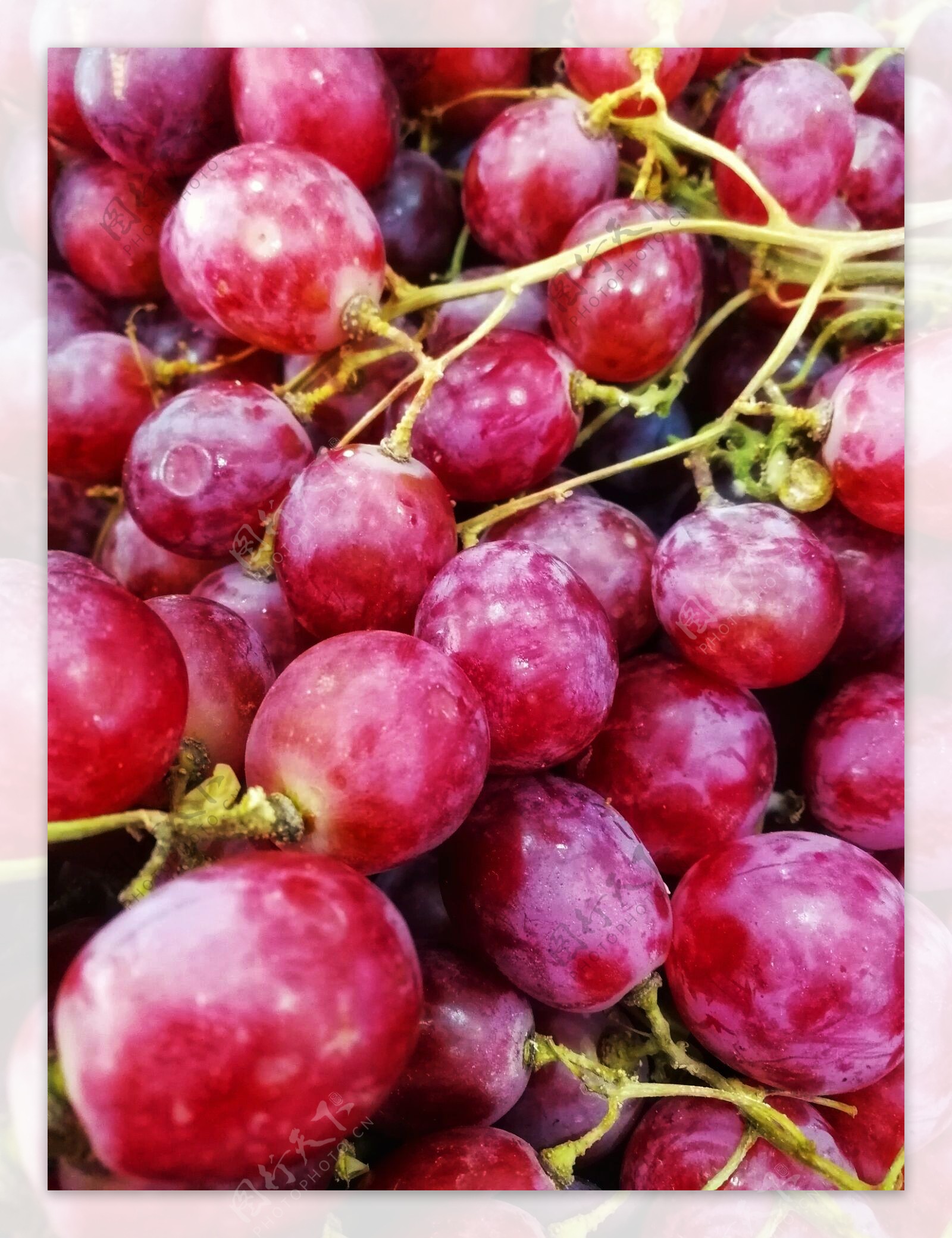 水果葡萄全屏背景图