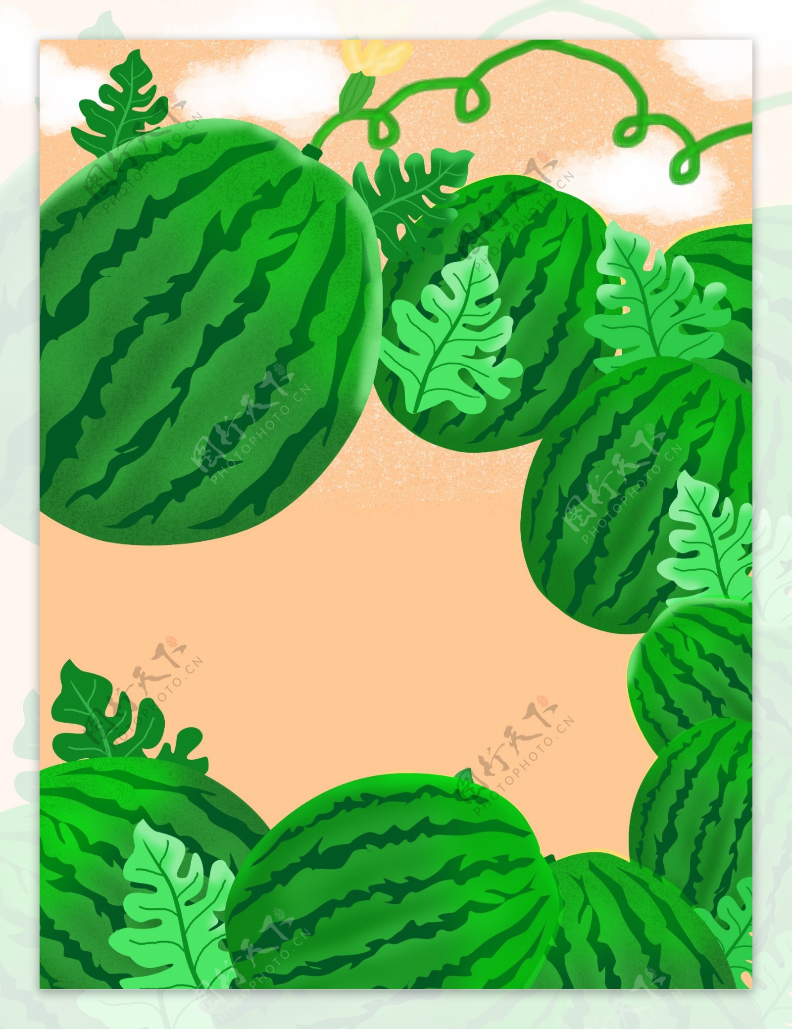 夏日西瓜水果背景