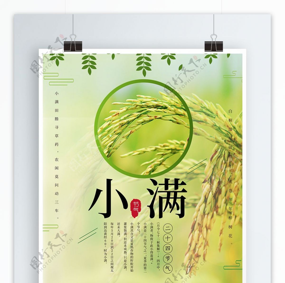 小满中国节气传统海报
