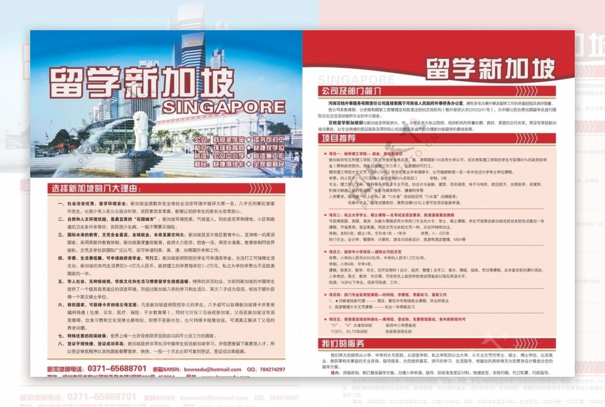 新加坡留学宣传单页