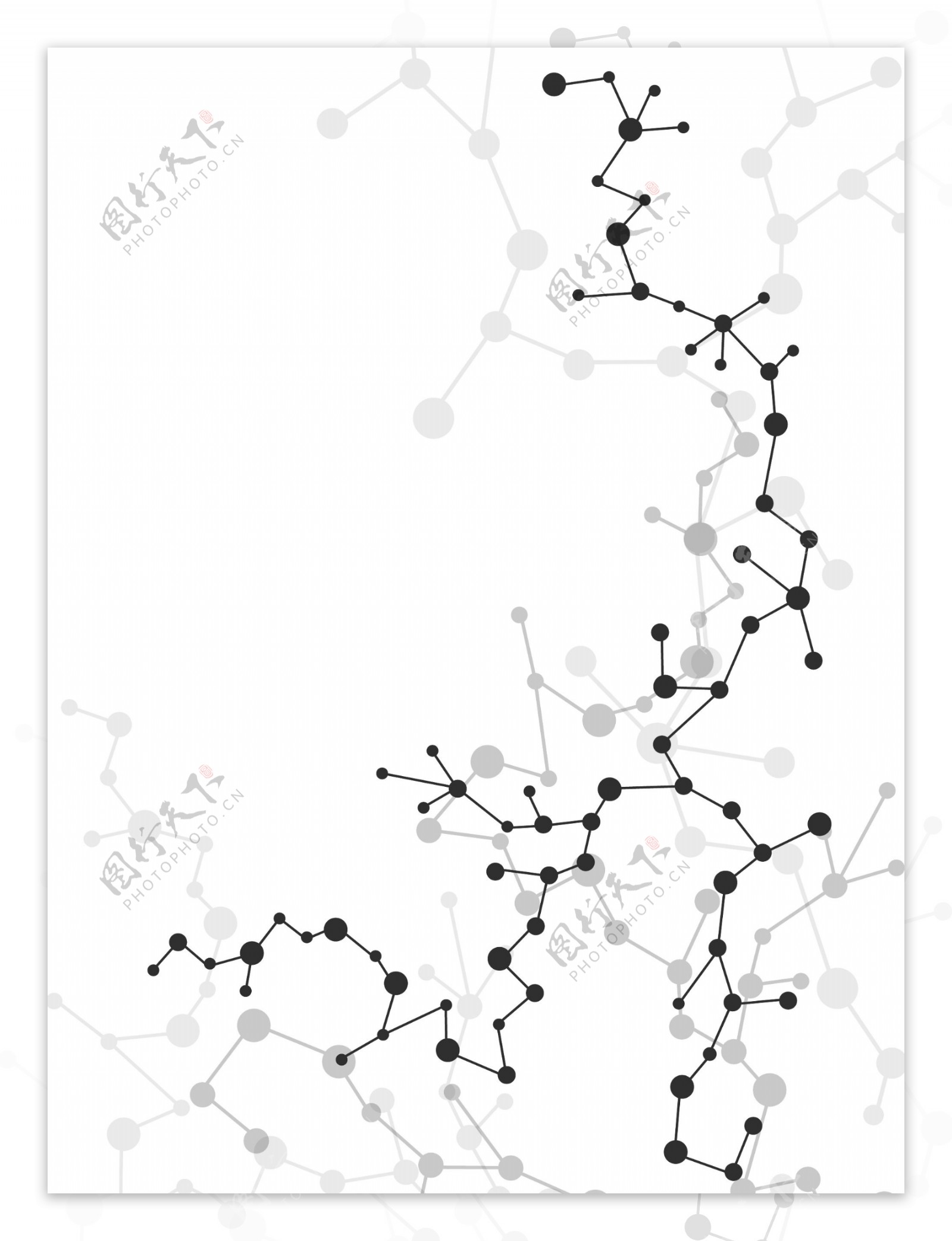 分子图
