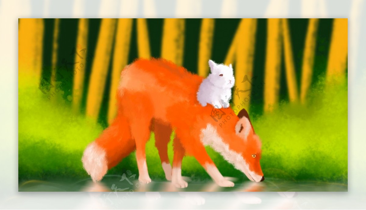 林间散步的狐狸与兔子