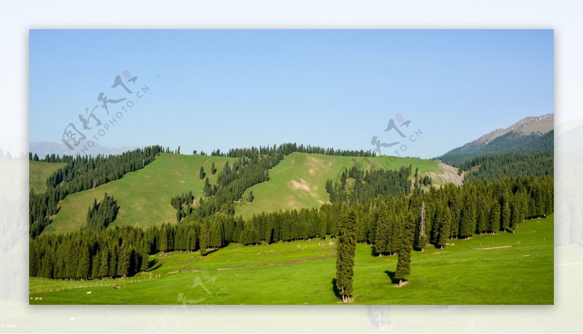 新疆科克尔斯陶牧区风景